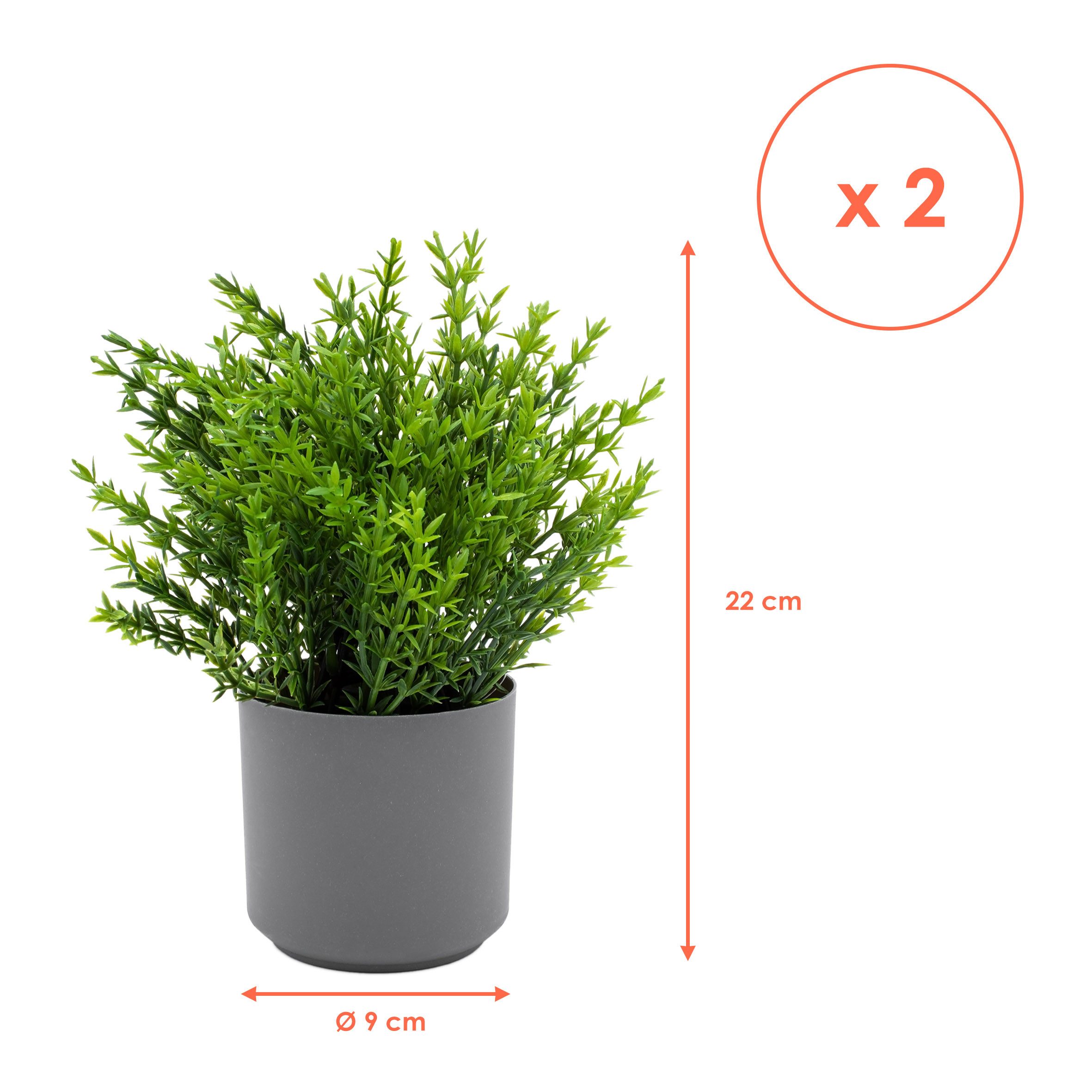 Kunstpflanze Grünpflanzen Arragement 22 cm im grauen Topf künstliches Zierg günstig online kaufen