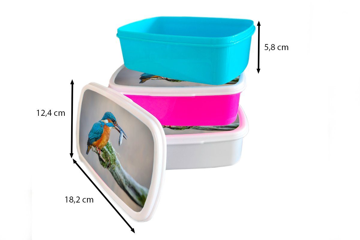 - Erwachsene, (2-tlg), Lunchbox MuchoWow - und Kinder Brotbox Kunststoff, Brotdose, Eisvogel für Jungs für und Mädchen Fisch Tier, weiß