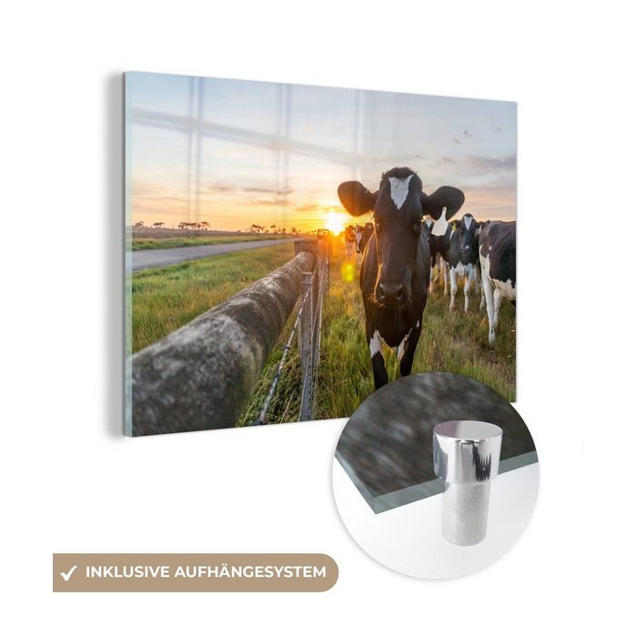 MuchoWow Acrylglasbild Kühe - Sonne - Zaun (1 St) Glasbilder - Bilder auf Glas Wandbild - Foto auf Glas - Wanddekoration SY12317