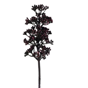 Trockenblume Alette, DELAVITA, Höhe 54 cm, Dekozweig, Akazie, 2er Set