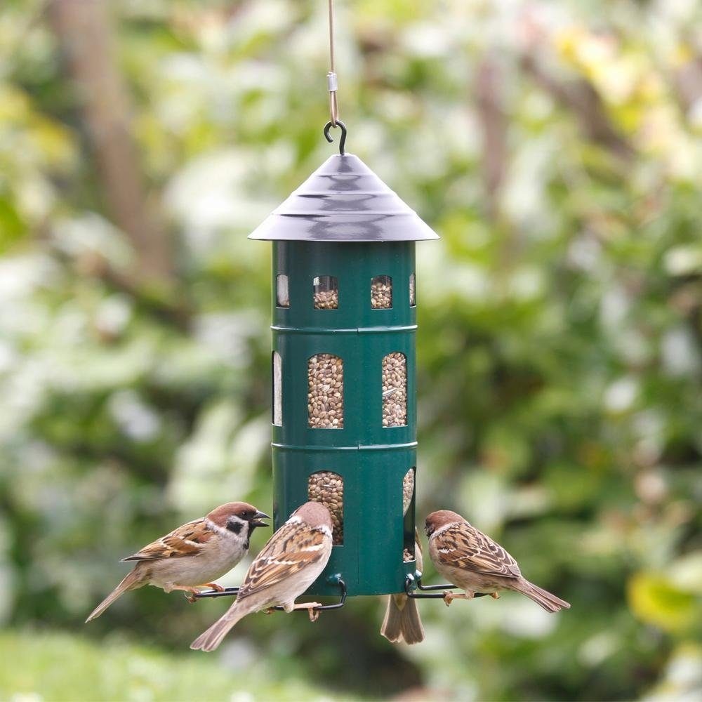 Wildlife Garden Vogelhaus Futterhaus Kombi-Haus Samen Grün