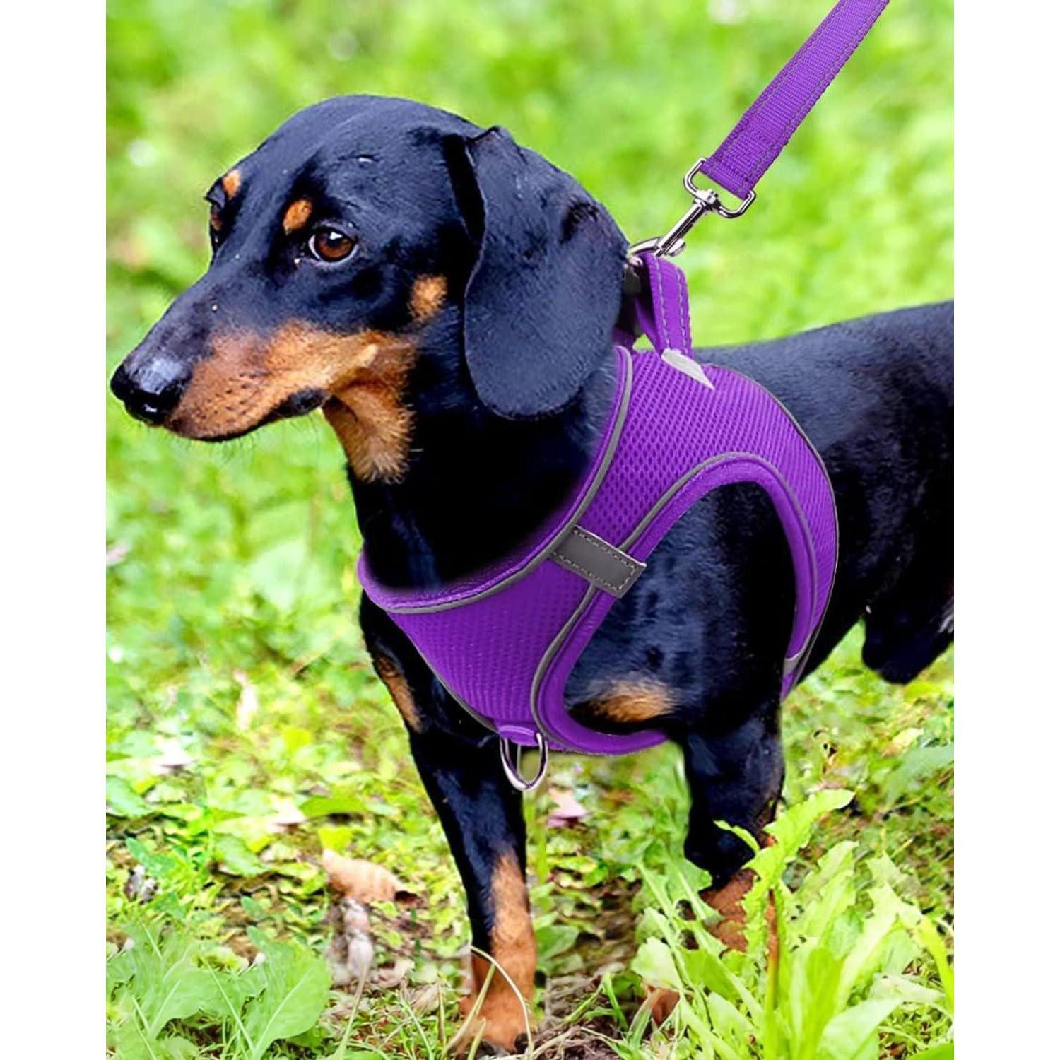 LuxusKollektion Hunde-Geschirr Hundegeschirr Brustgeschirr Reflektierend Mesh M-Brust:42-47cm Lila