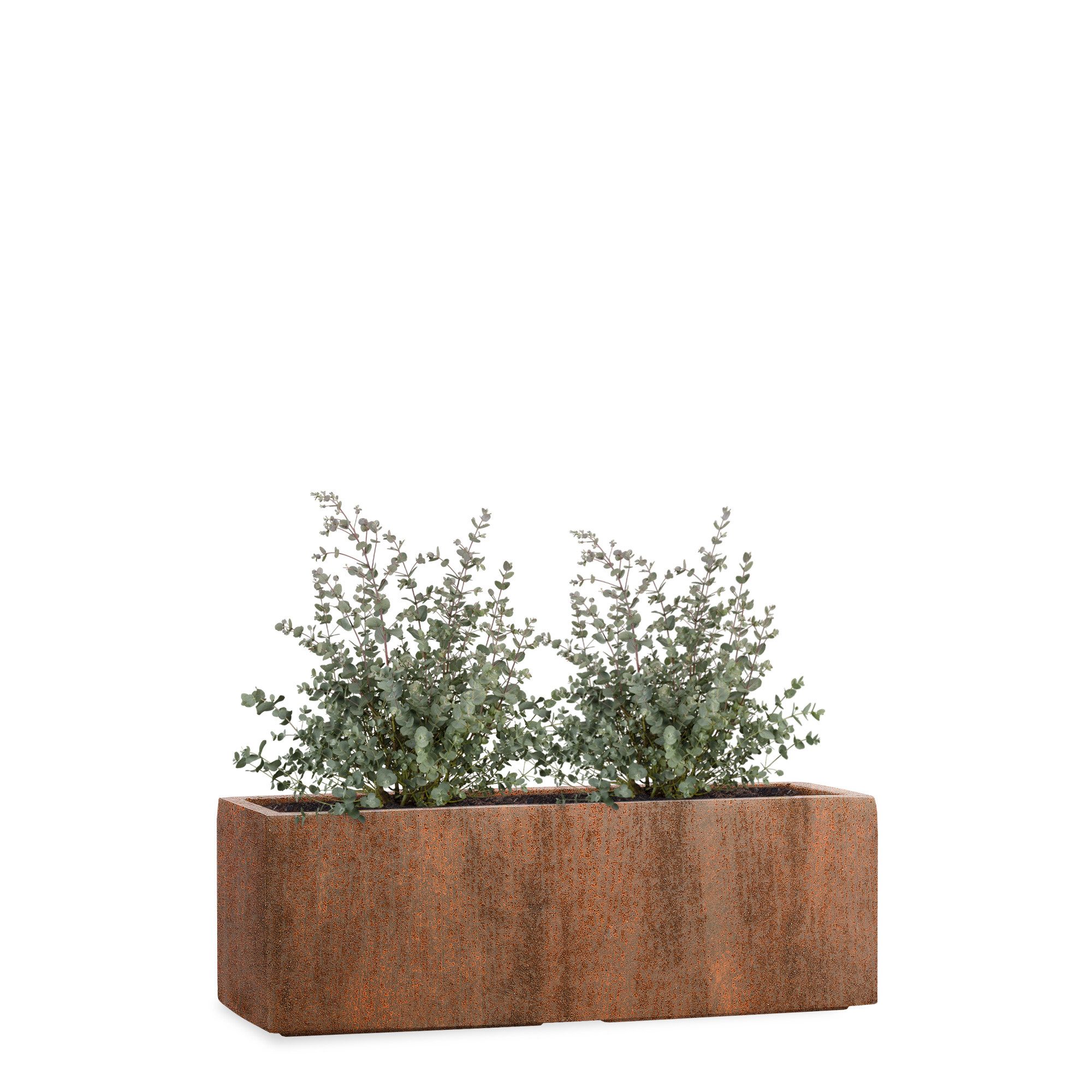 Pflanzwerk® Pflanzkübel TUB Frostbeständiger Fensterbank Premium Blumenkübel mit Lotus-Effekt, Fiberglas - Handgefertigt - Rechteckig – Frostbeständig