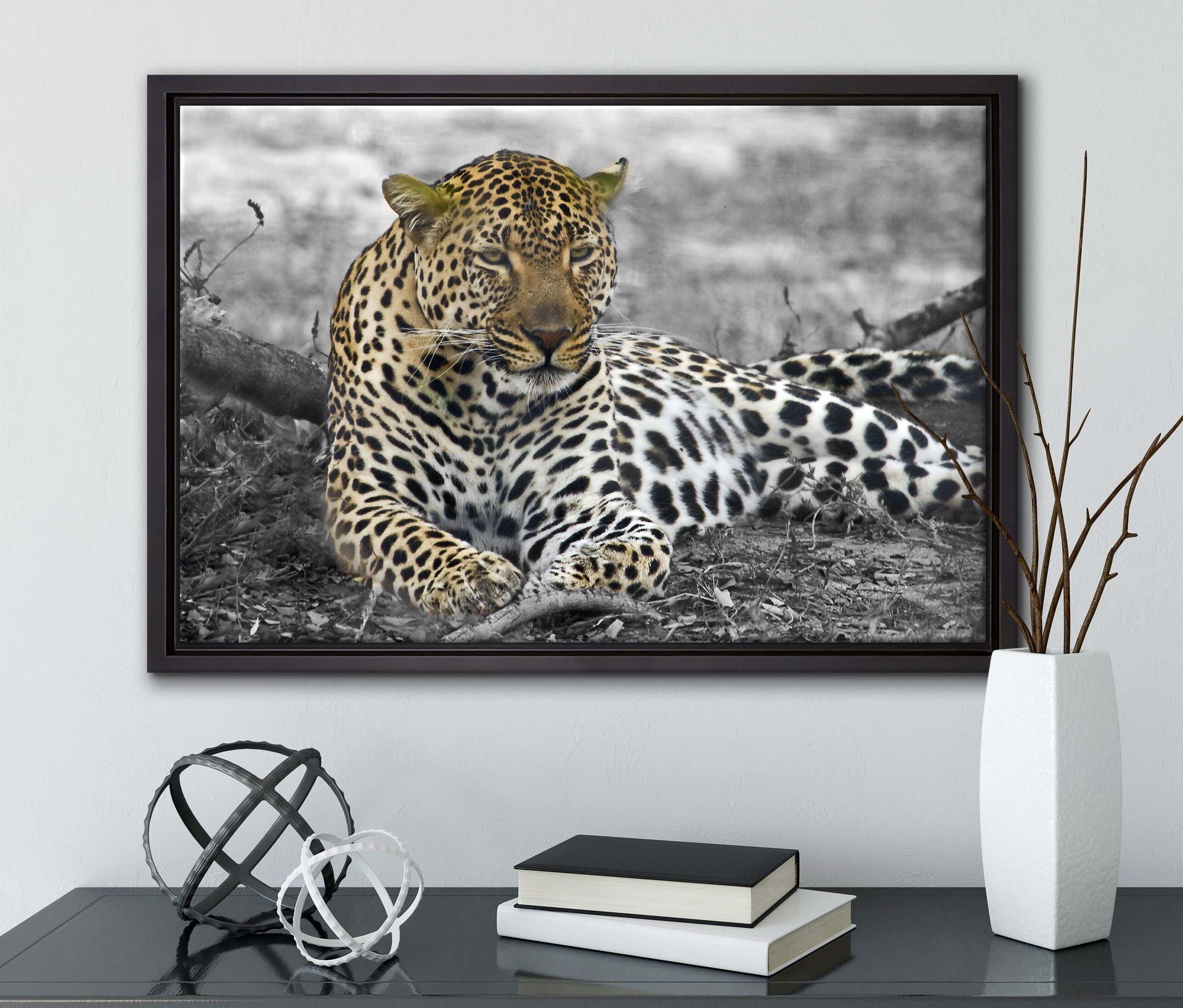Laub, (1 im Leinwandbild Leinwandbild Zackenaufhänger Leopard Pixxprint Wanddekoration Schattenfugen-Bilderrahmen gefasst, schöner fertig inkl. in bespannt, liegt St), einem
