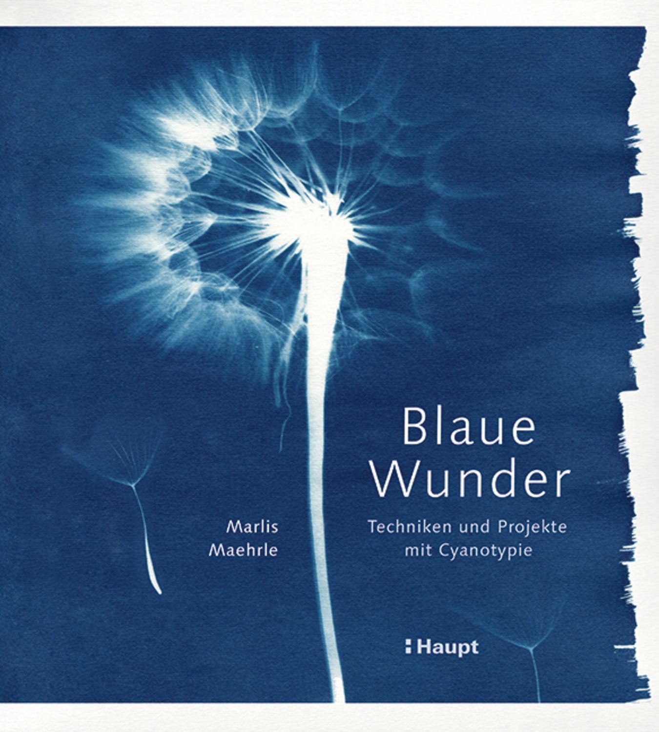 Blaue Wunder - Techniken und Projekte mit Cyanotypie / Marlis Maehrle