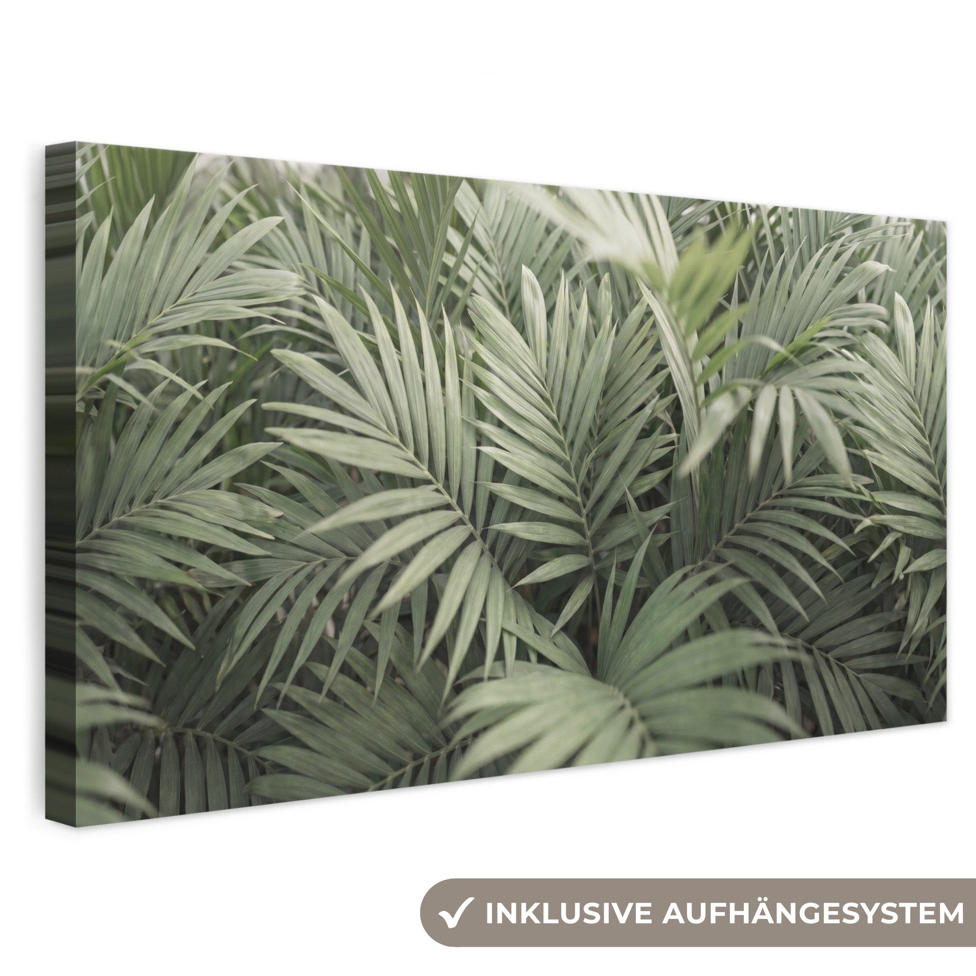 OneMillionCanvasses® Leinwandbild Panorama Pflanze – Palmblätter – Natur – Grün, Fotodruck (1 St), Wandbild, Deko Schlafzimmer Wohnzimmer Flur 40x20 cm