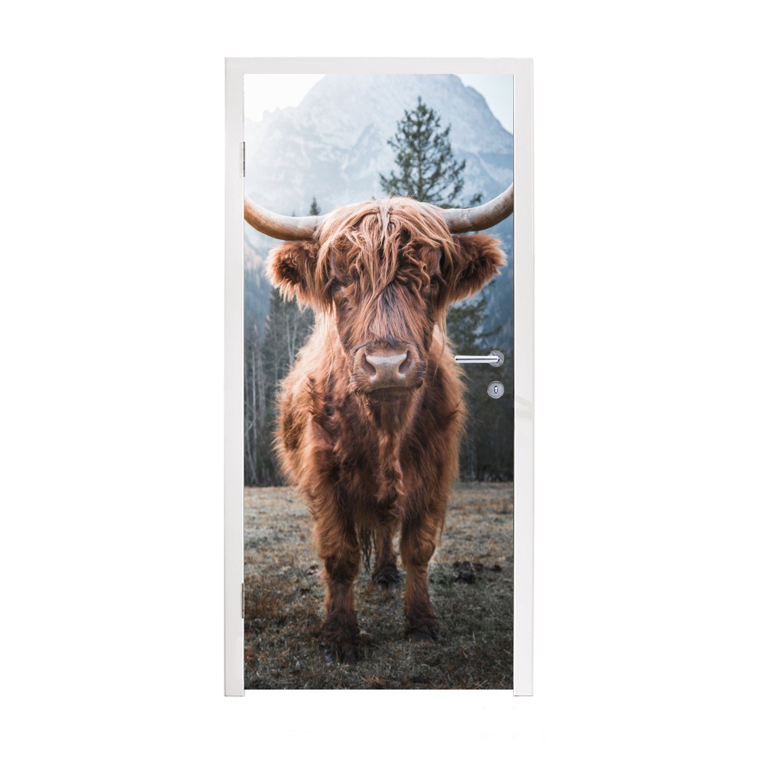 MuchoWow Türtapete Schottischer Hochländer - Kuh - Tiere - Berg - Natur, Matt, bedruckt, (1 St), Fototapete für Tür, Türaufkleber, 75x205 cm