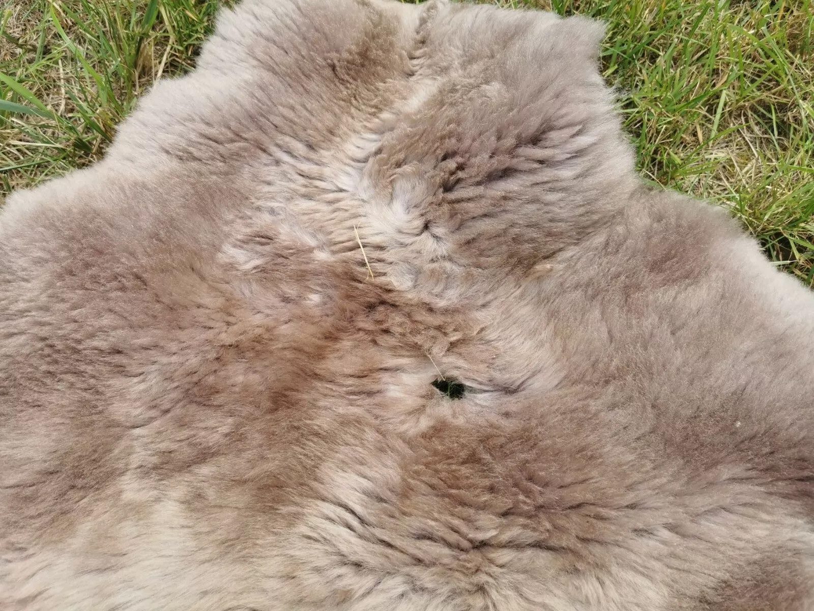 Provellus Fellteppich Öko Schaffell Lammfell Taupe 2.Wahl Bis 140 cm, 30x30cm rund – Bild 4 von 5
