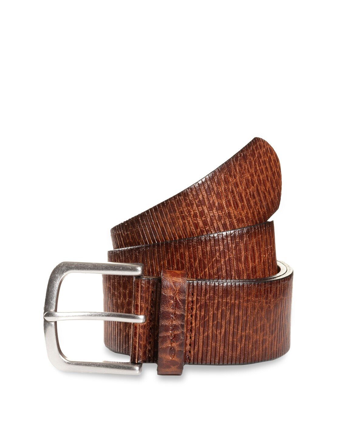 TOM TAILOR Ledergürtel Belts TTROY Ledergürtel mit abgerundeter Dornschließe