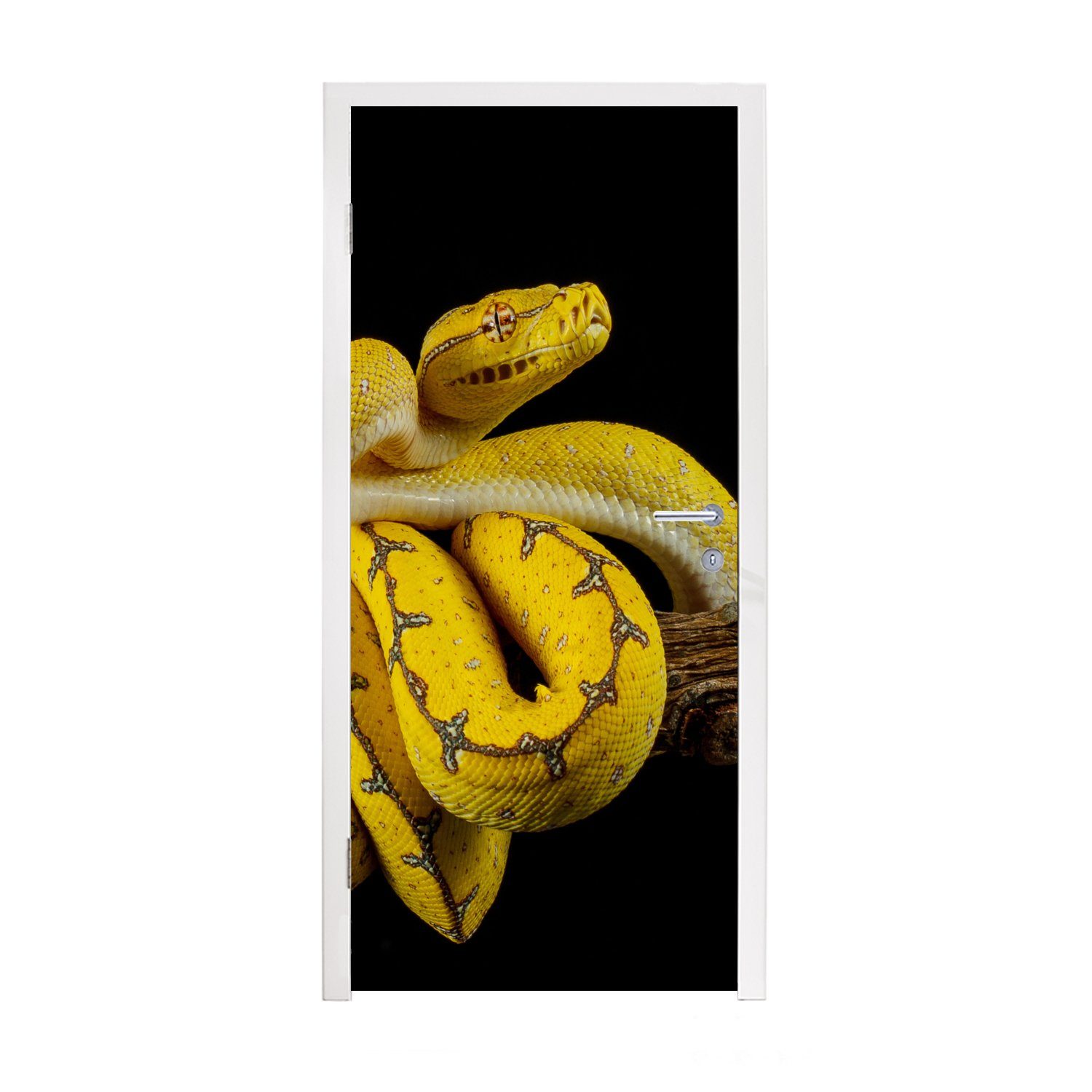 MuchoWow Türtapete Schlange - Zweig - Gelb, Matt, bedruckt, (1 St), Fototapete für Tür, Türaufkleber, 75x205 cm