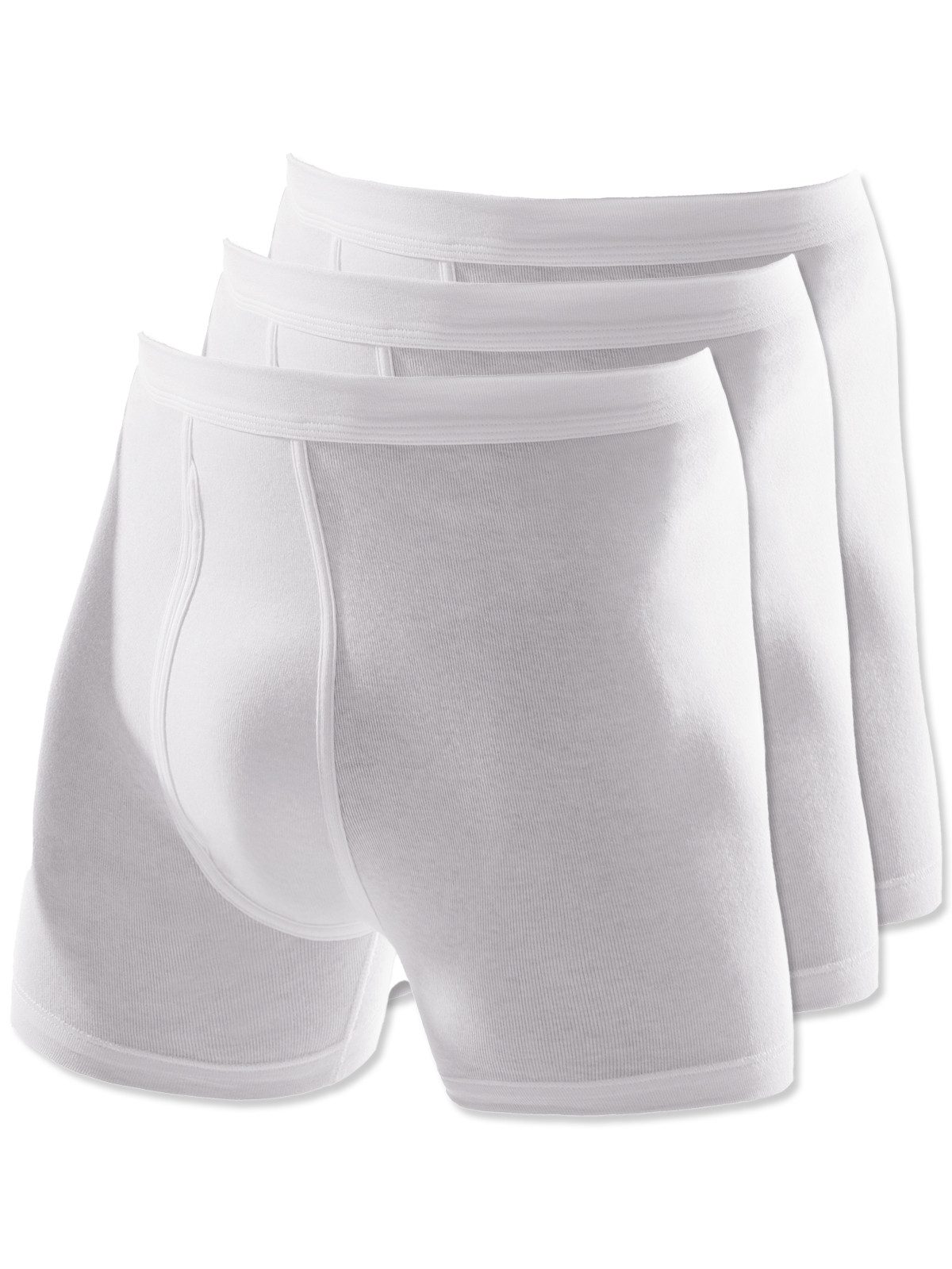 Retro Pants 3er Pack Herren Pant Royal Feinripp