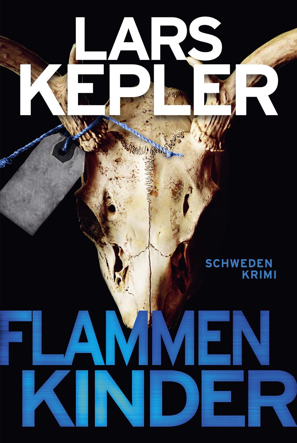 Belletristik Flammenkinder Schweden-Krimi Lars Kepler