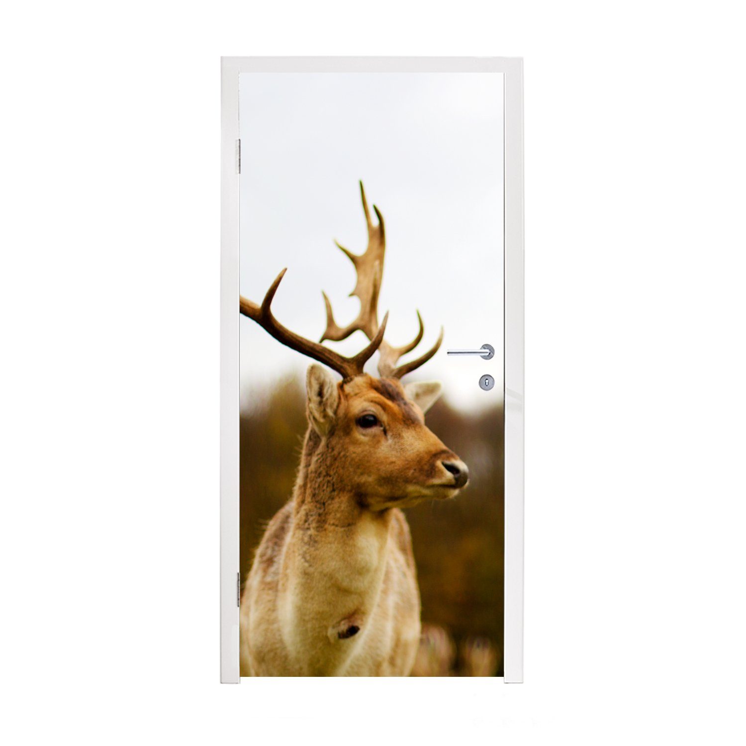 cm Natur, 75x205 - Damhirsch bedruckt, MuchoWow St), Türaufkleber, Wald - (1 Matt, - Tiere Fototapete Herde für - Türtapete Tür,