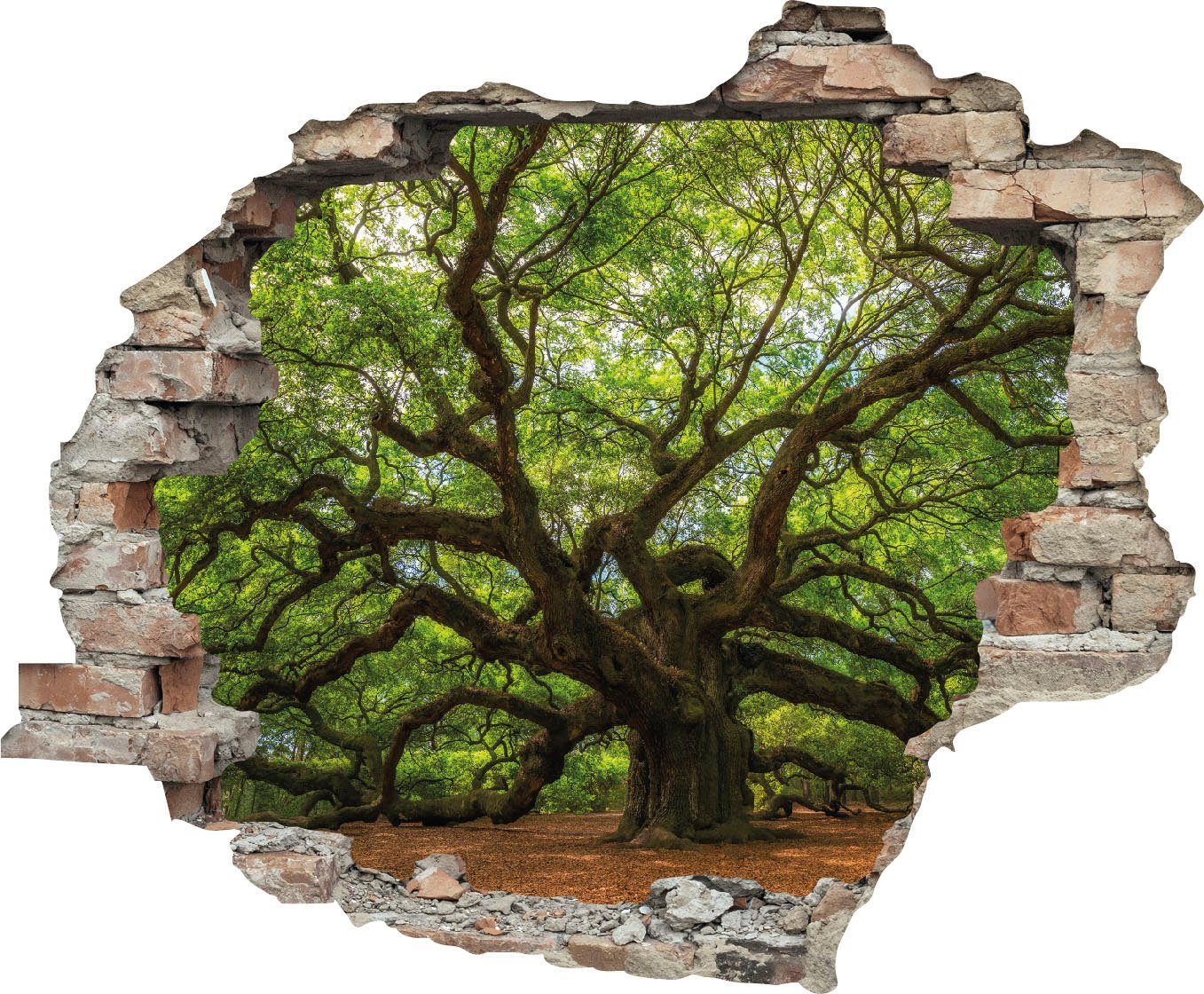 queence Wandtattoo Baum (1 St), Wandsticker, günstig online kaufen