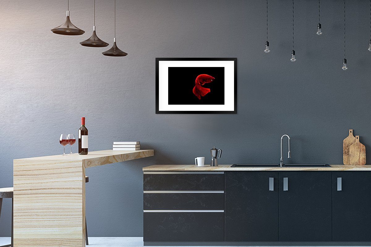 MuchoWow Poster Fisch - Meerestier - Schwanz - Rot, (1 St), mit Rahmen, Kunstdruck, Gerahmtes Poster, Schwarzem Bilderrahmen