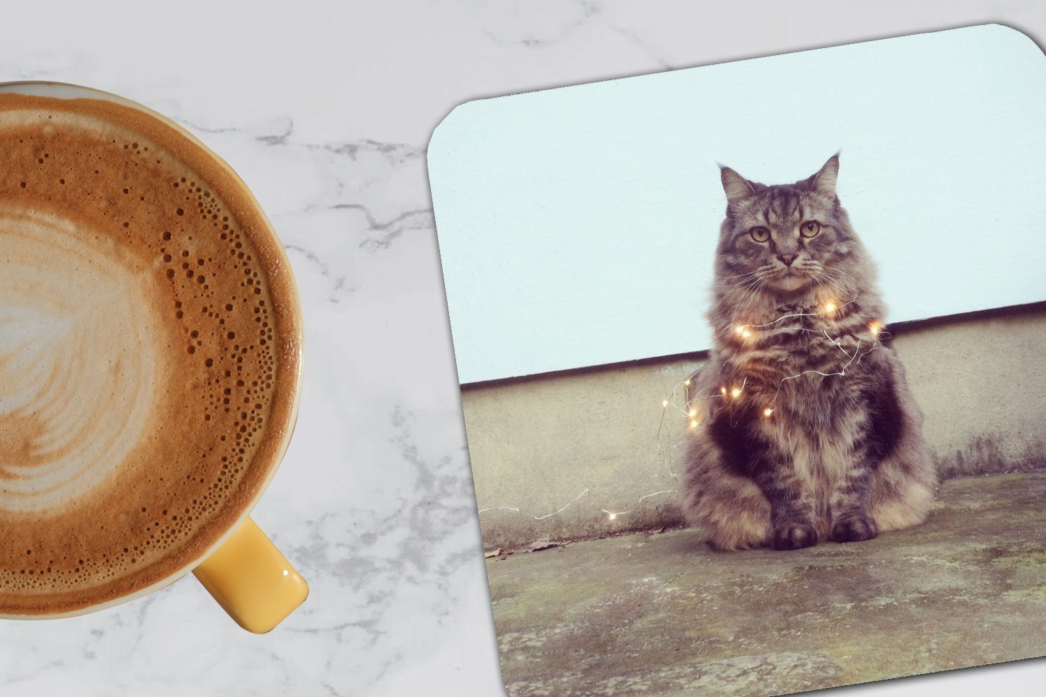 MuchoWow Glasuntersetzer Schöne Beleuchtung Tasse die Zubehör für Glasuntersetzer, Maine Tischuntersetzer, Korkuntersetzer, für Katze, 6-tlg., Untersetzer, Coon Gläser