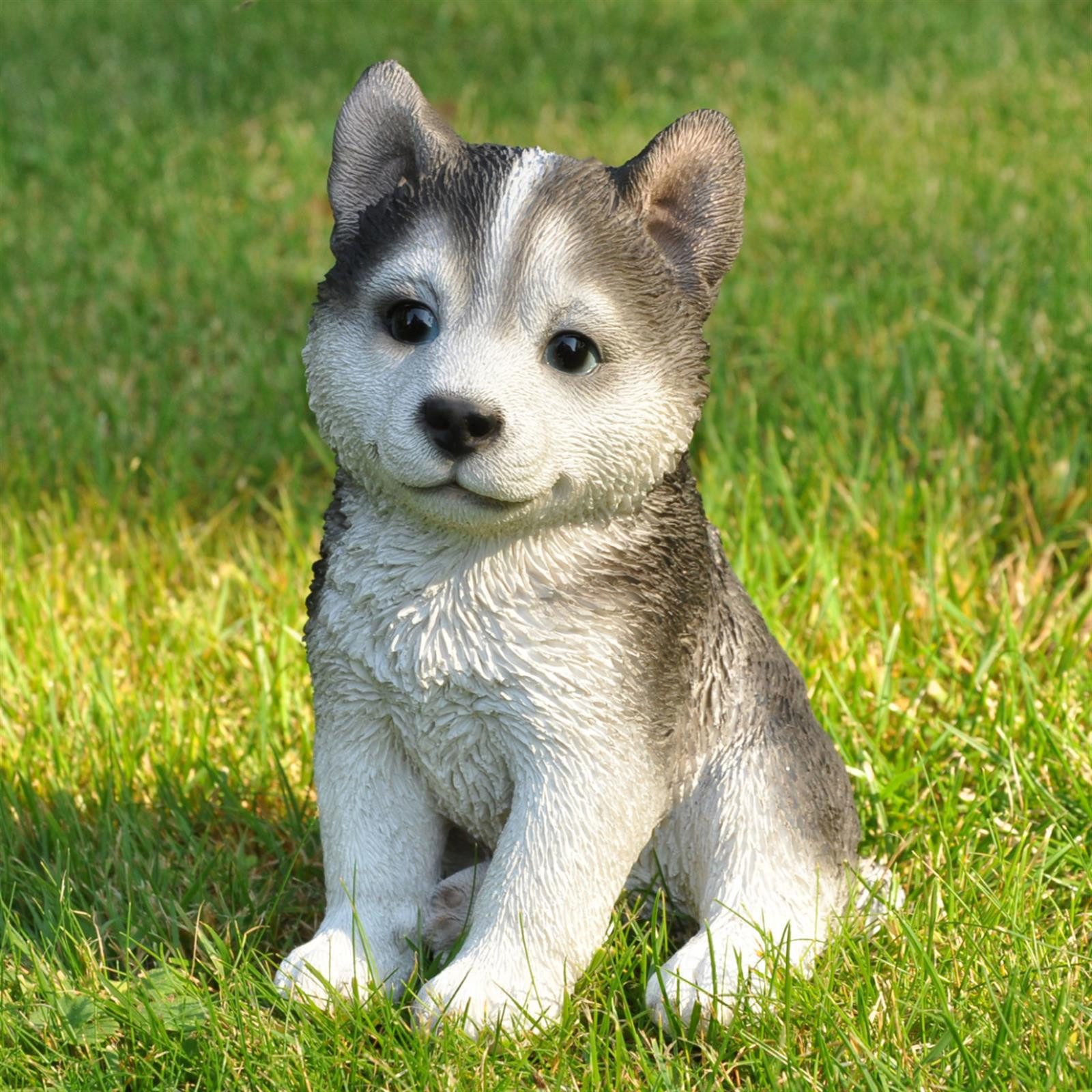 dazikemo Gartenfigur Dekofigur Gartenfigur Husky 17,5 x 10 x 12 cm