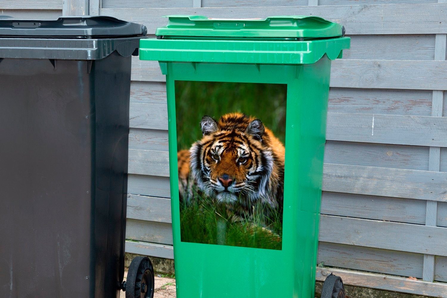 Wandsticker (1 Mülltonne, Sibirischer Container, Tiger Mülleimer-aufkleber, MuchoWow im St), Gras Abfalbehälter Sticker, versteckt