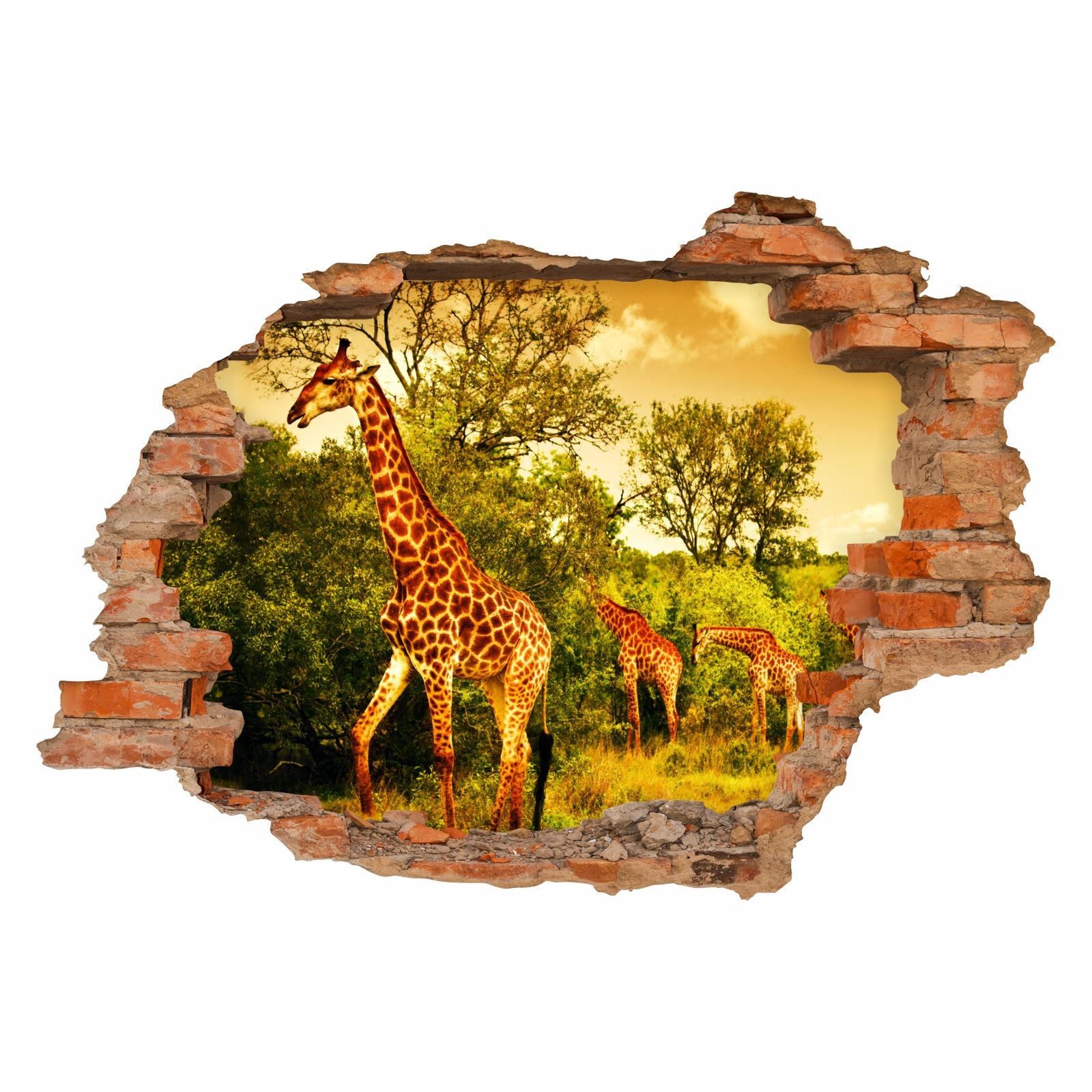 nikima Wandtattoo 036 Wandtattoo Giraffen - günstig online kaufen