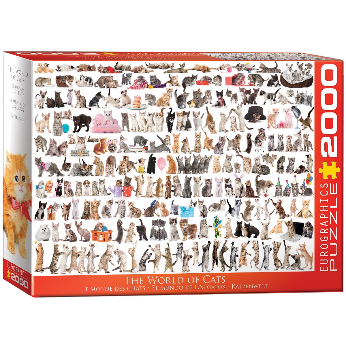 EUROGRAPHICS Puzzle Puzzle Die Welt der Katzen 2000 Puzzleteile, 2000 Puzzleteile