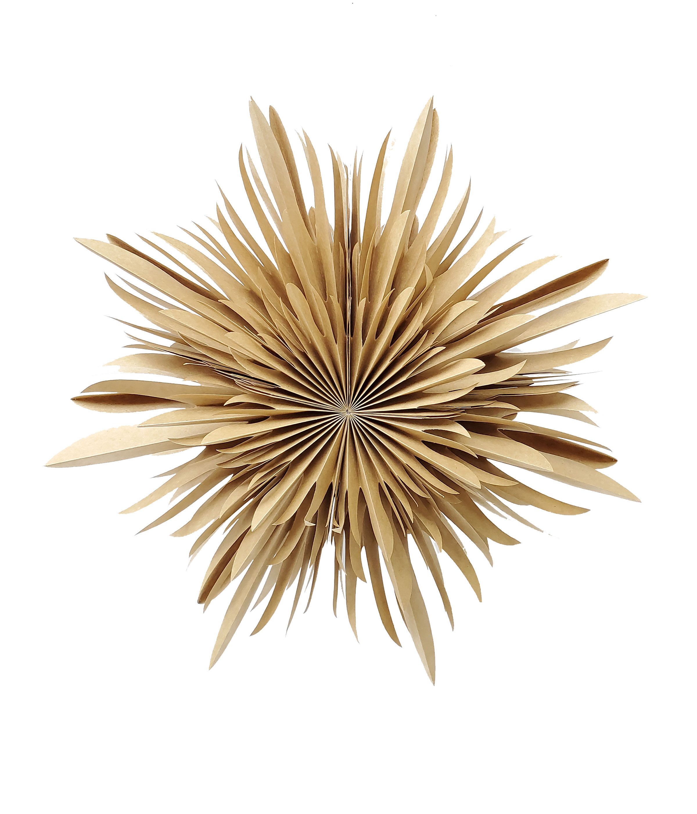 Dehner Weihnachtsfigur Papier-Stern, Indoor, ca. Ø 40 cm, Tiefe 15 cm, Weihnachtsstern aus FSC®-zertifiziertem Papier