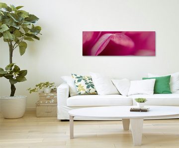 Sinus Art Leinwandbild Naturfotografie  Pinke Blütenblätter mit Rand auf Leinwand exklusives Wandbild moderne Fotografie f