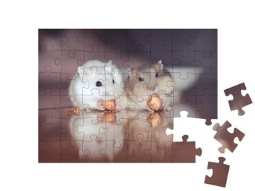 puzzleYOU Puzzle Zwei süße russische Hamster knabbern Nüsse, 48 Puzzleteile, puzzleYOU-Kollektionen Hamster, Bauernhof-Tiere, Insekten & Kleintiere