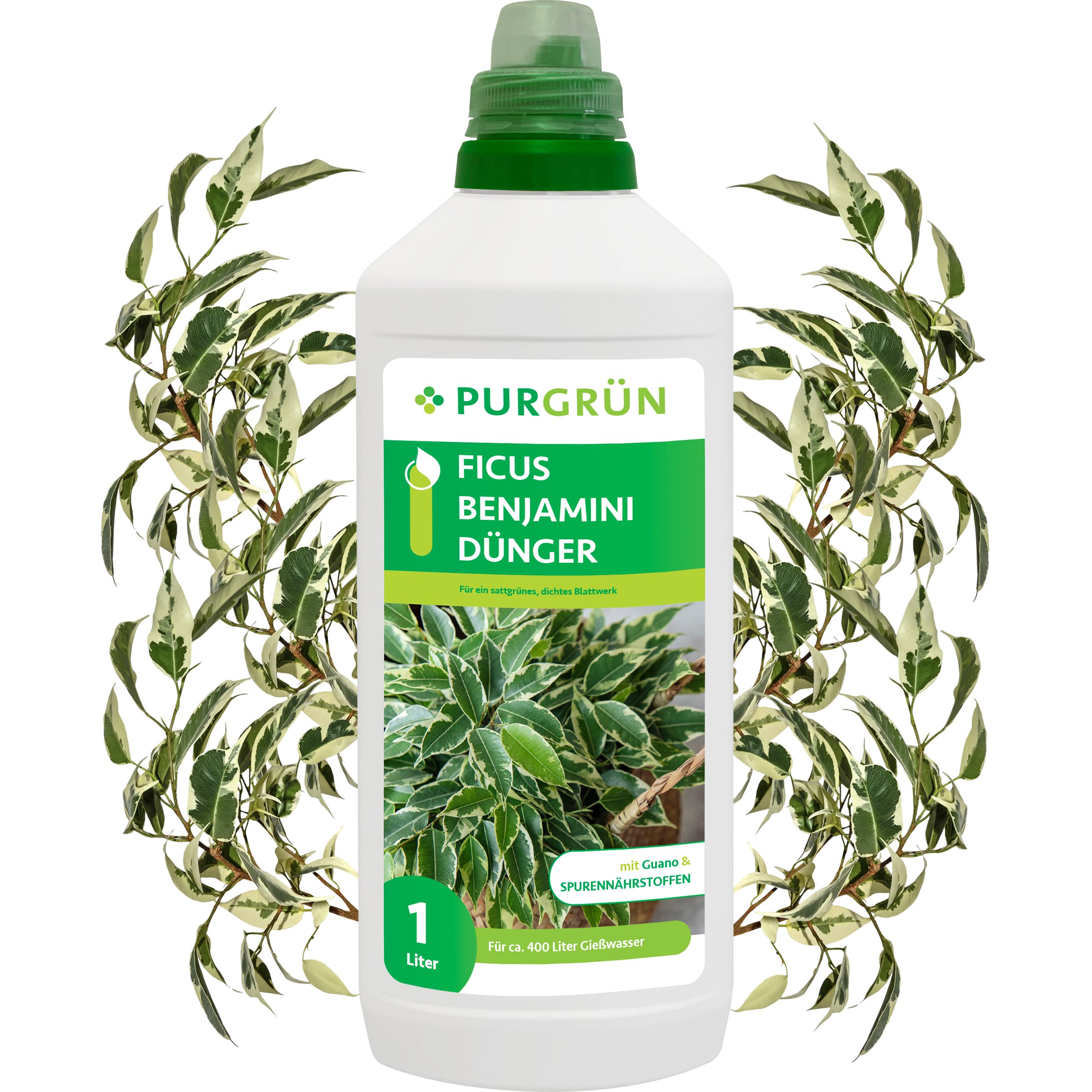 Universaldünger Purgrün Ficus Benjamini Dünger, NPK 10+4+6, stärkt Pflanzenkraft, 1L
