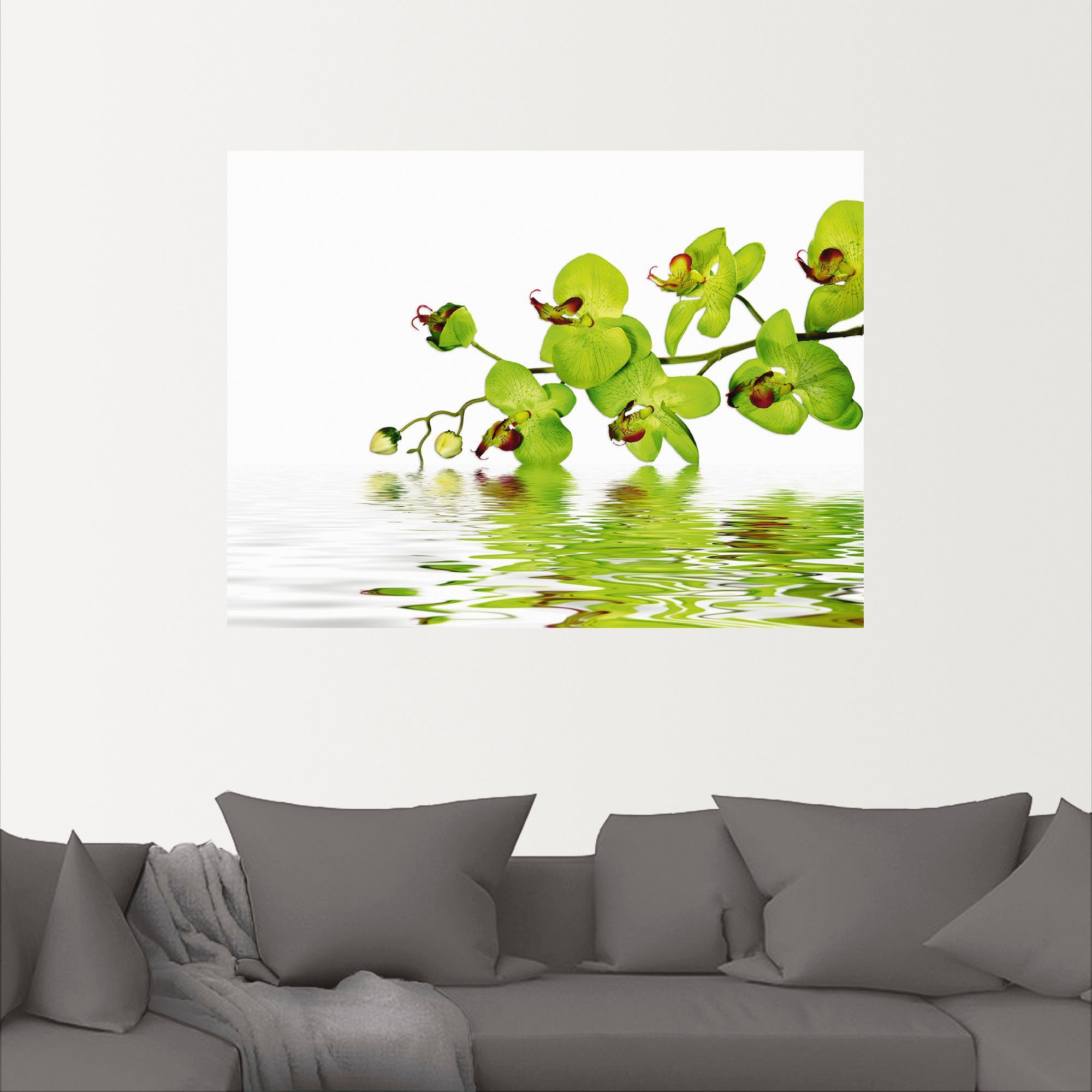 als versch. Orchidee Blumen Alubild, Poster Schöne Wandbild Artland Leinwandbild, grünem in Größen Hintergrund, oder (1 St), Wandaufkleber mit