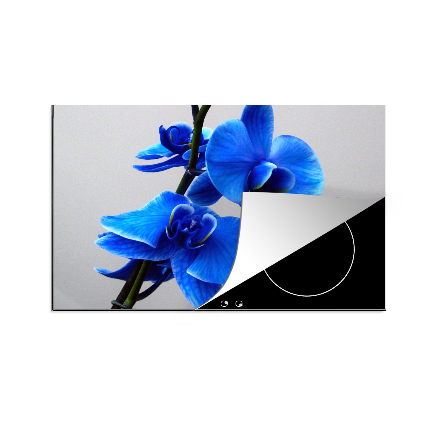 MuchoWow Herdblende-/Abdeckplatte 76x51.5 cm Blaue Orchidee, Vinyl, (1 tlg), Induktionsschutz - Herdabdeckung Matte von Vinyl, das perfekte, rollbare Material für jedes Kochfeld - vergrößert die Arbeitsfläche - Küchen Dekoration - Induktionsherd Abdeckung Induktionskochfeld