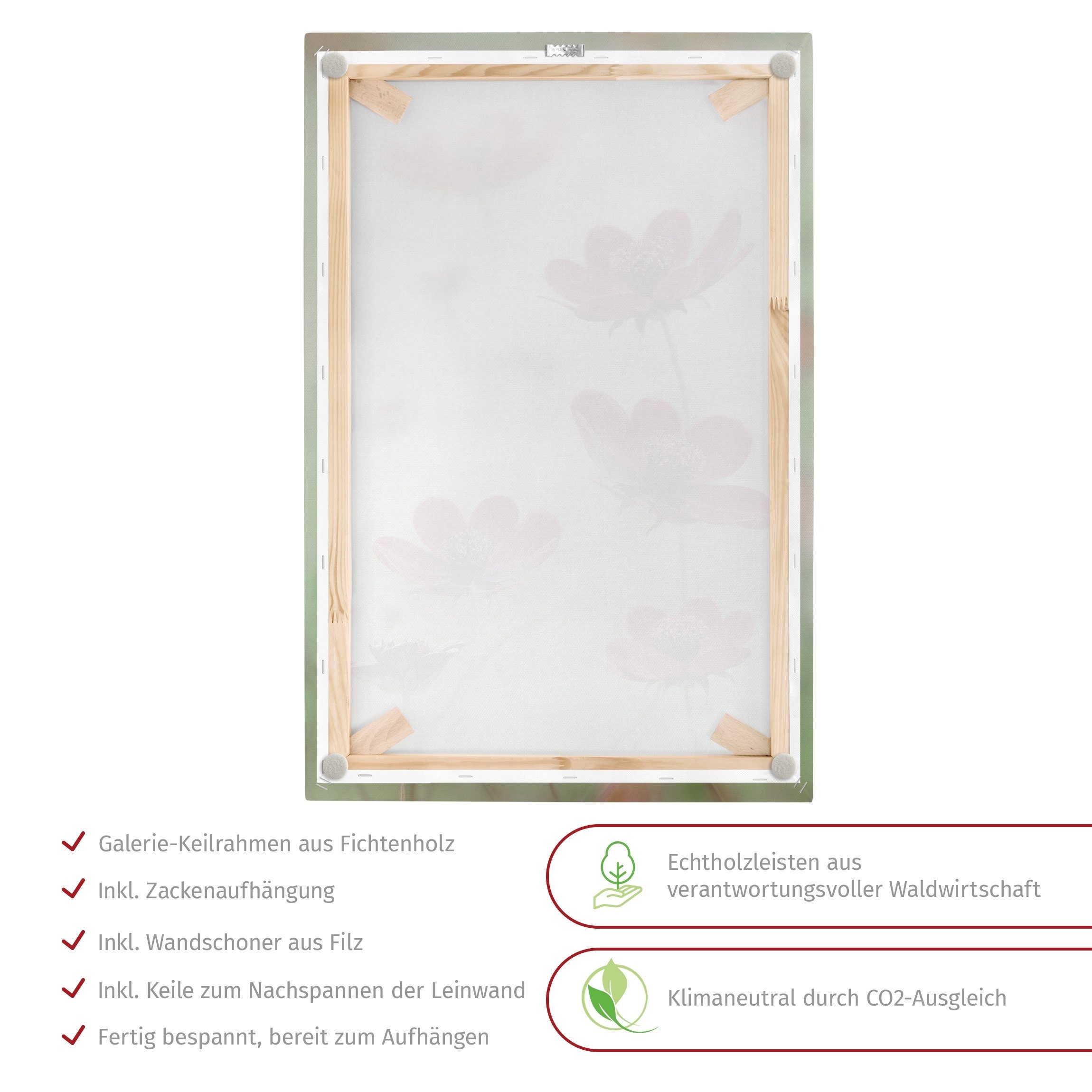Bilderdepot24 Leinwandbild Blumen Modern Pinke Kosmeen günstig online kaufen