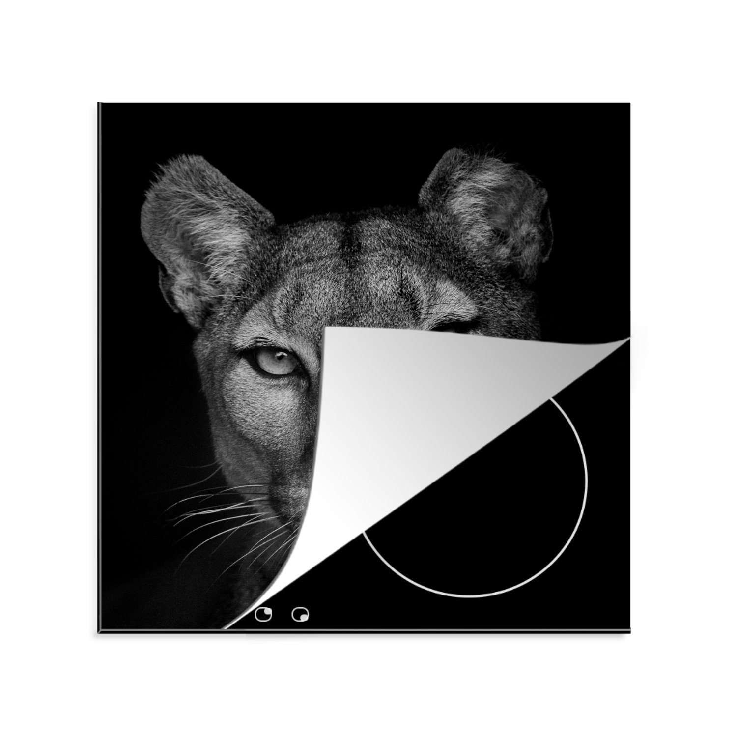 MuchoWow Herdblende-/Abdeckplatte Porträtfoto eines Pumas auf schwarzem Hintergrund, Vinyl, (1 tlg), 78x78 cm, Ceranfeldabdeckung, Arbeitsplatte für küche