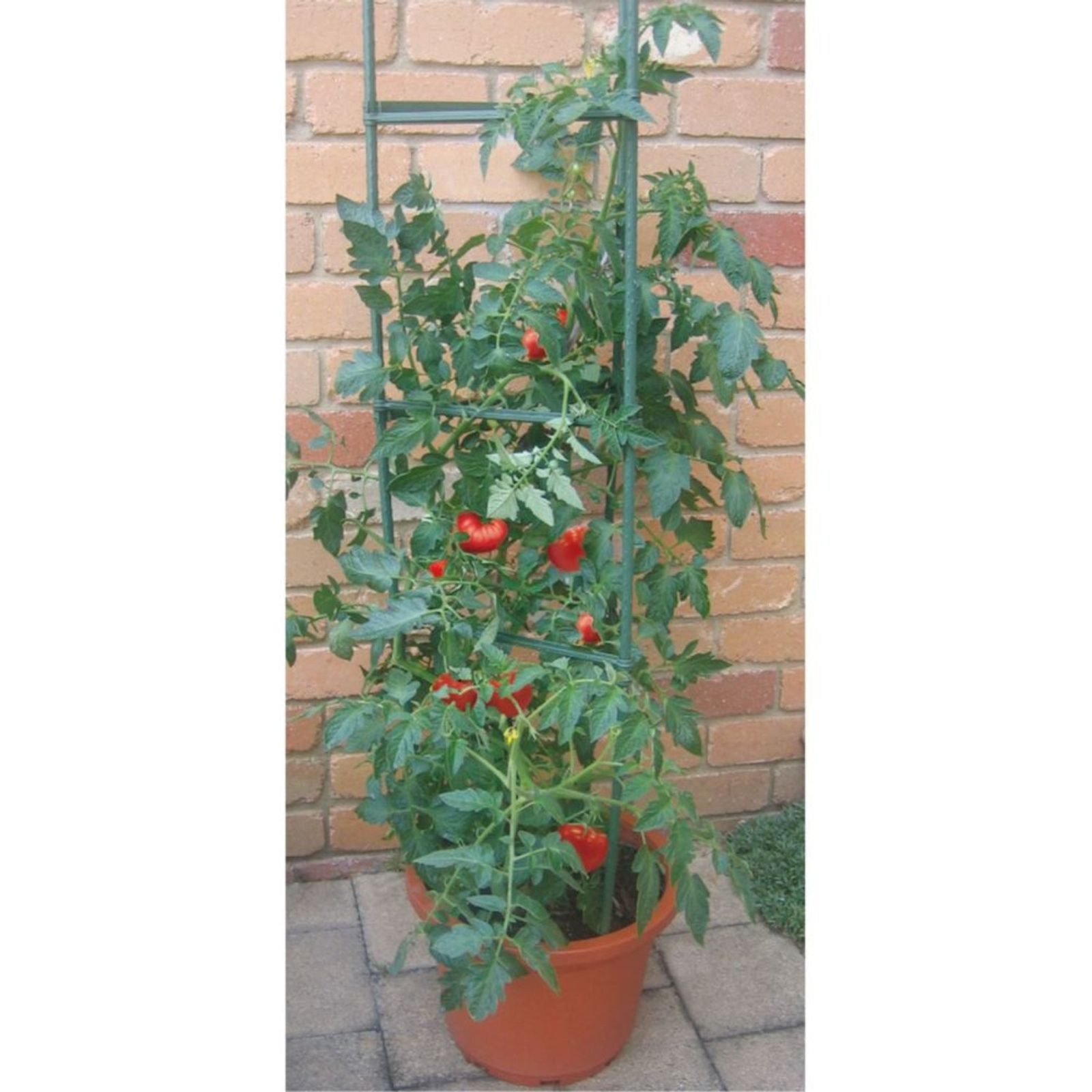 Gravidus Rankhilfe Tomatenkäfig Rankhilfe für Kletterpflanzen Gemüse und Blumen
