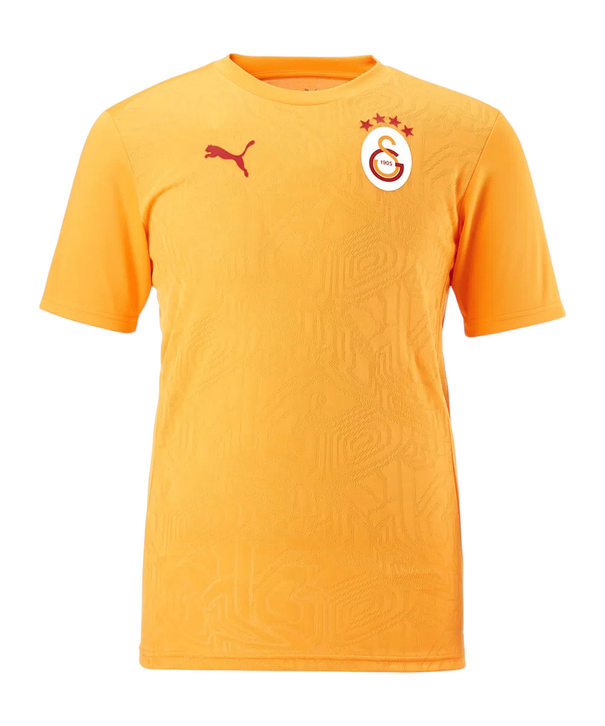 PUMA T-Shirt PUMA Galatasaray Istanbul Training T-Shirt Polyester günstig online kaufen