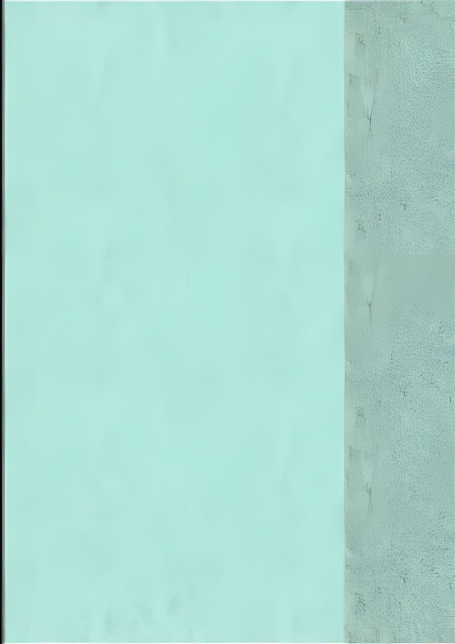 BRUNNEN Schulheft BRUNNEN Hefthülle A4 transparent grün Folie 104050450