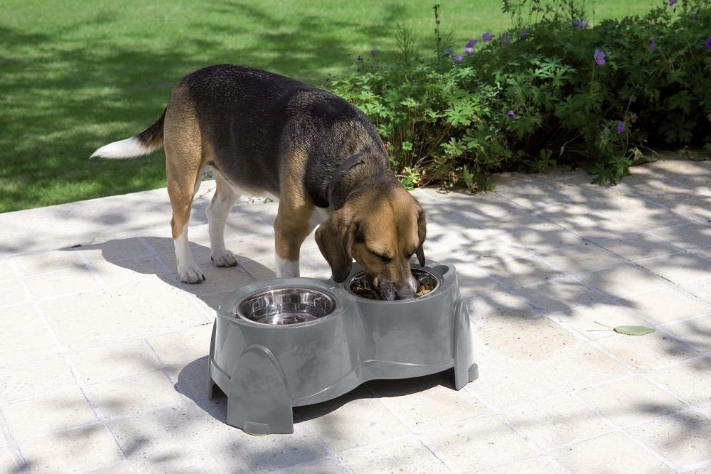 Napf Ergo Feeder