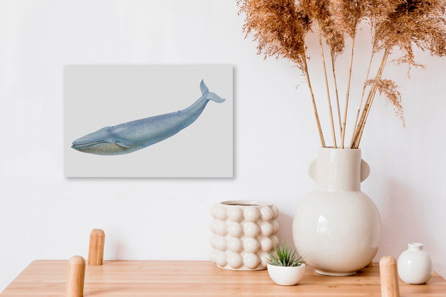 St), Blauwals, Eine Aufhängefertig, (1 OneMillionCanvasses® cm Leinwandbild Wandbild naturgetreue Illustration Leinwandbilder, 30x20 des Wanddeko,