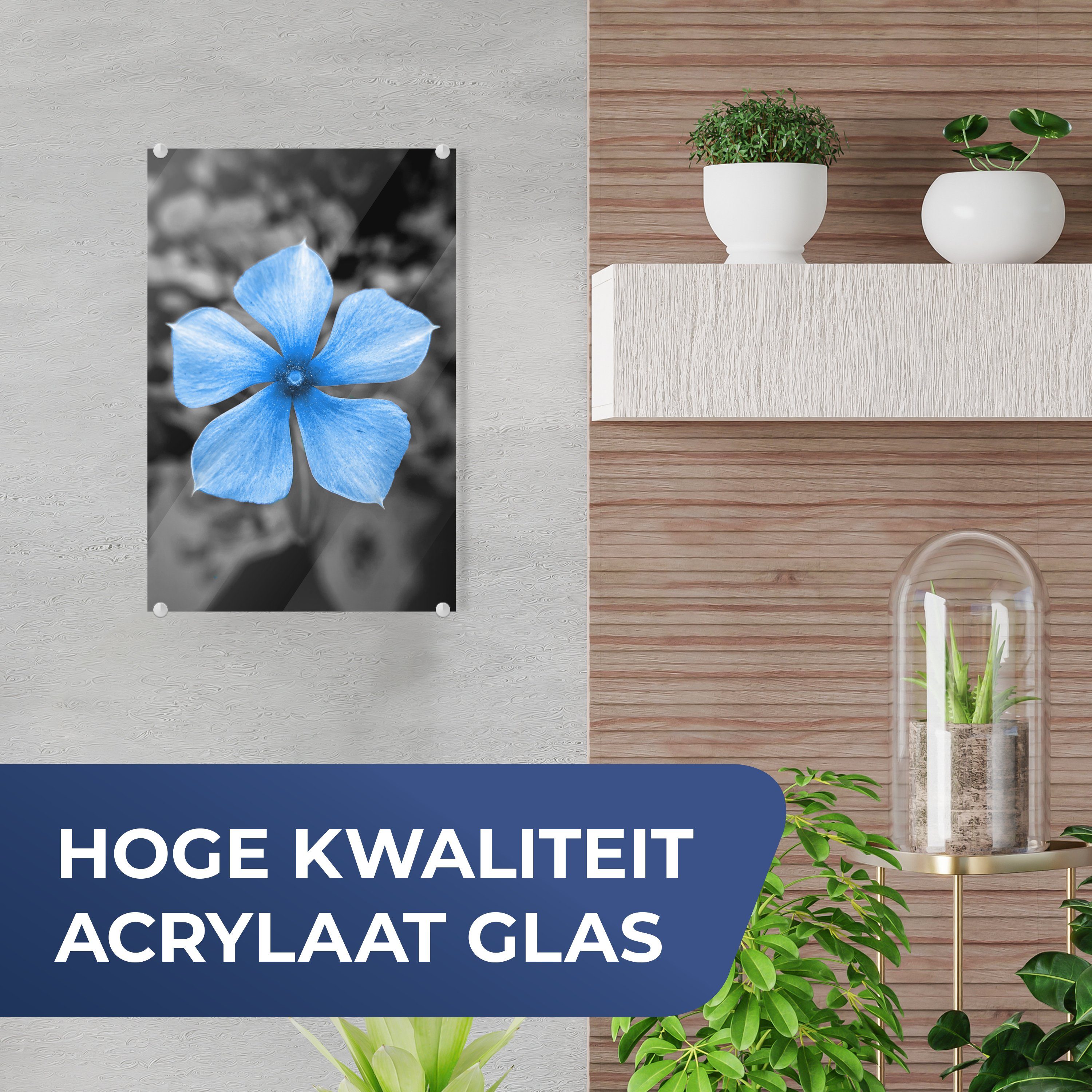 Weiß, - - Blumen Bilder - Glasbilder auf Blau Glas Glas St), Foto MuchoWow Wandbild (1 Acrylglasbild - - auf Schwarz Wanddekoration -
