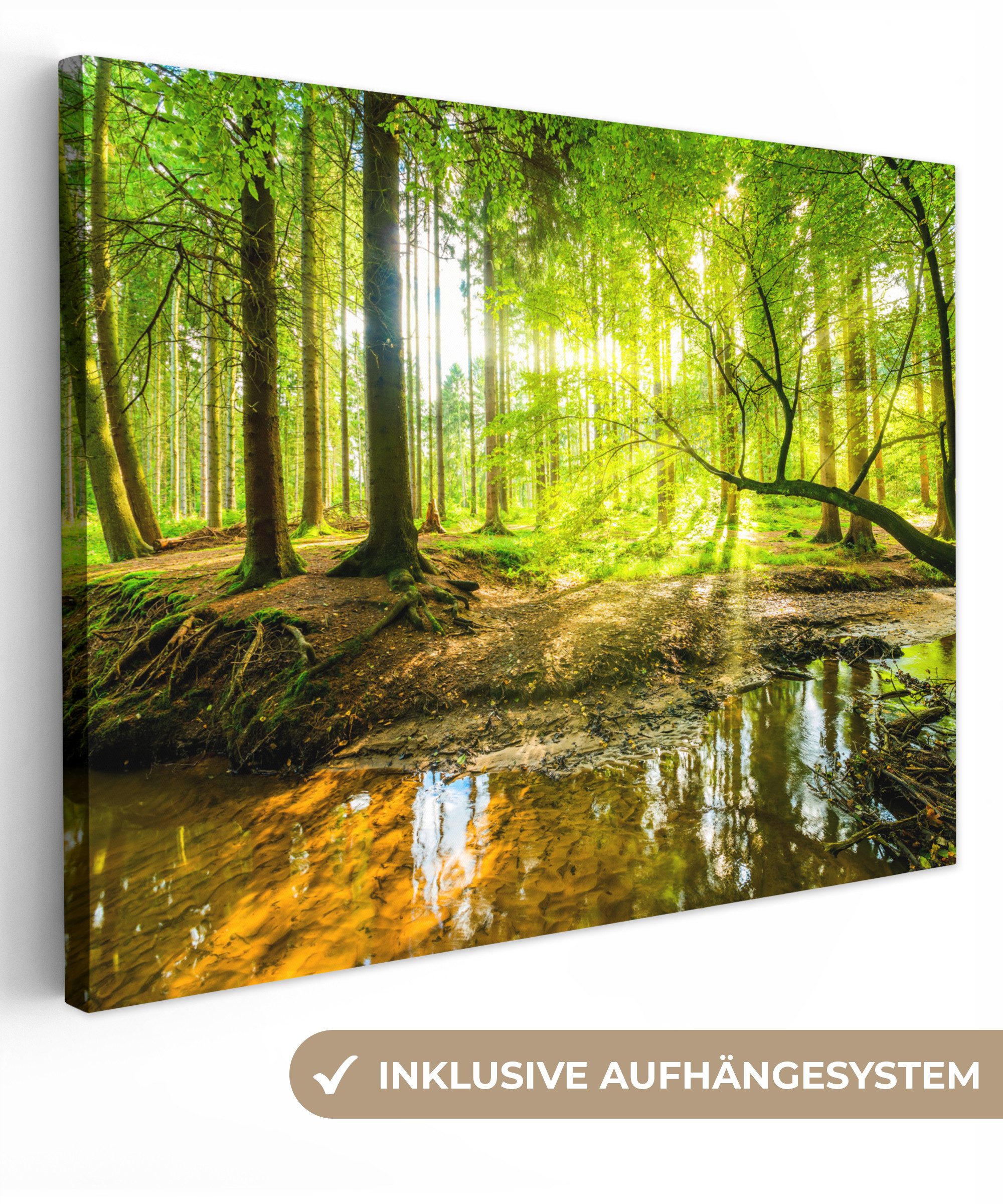 OneMillionCanvasses® Leinwandbild Wald - Landschaft - Wasser - Bäume - Sonne - Grün - Natur, Fotodruck (1 St), Leinwand Bilder für Wohnzimmer Schlafzimmer 80x60 cm