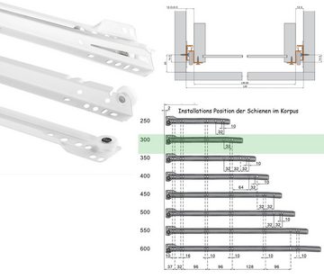 BigDean Auszug 1 Paar Schubladenschienen 300mm Schubladenauszug weiß Schienen