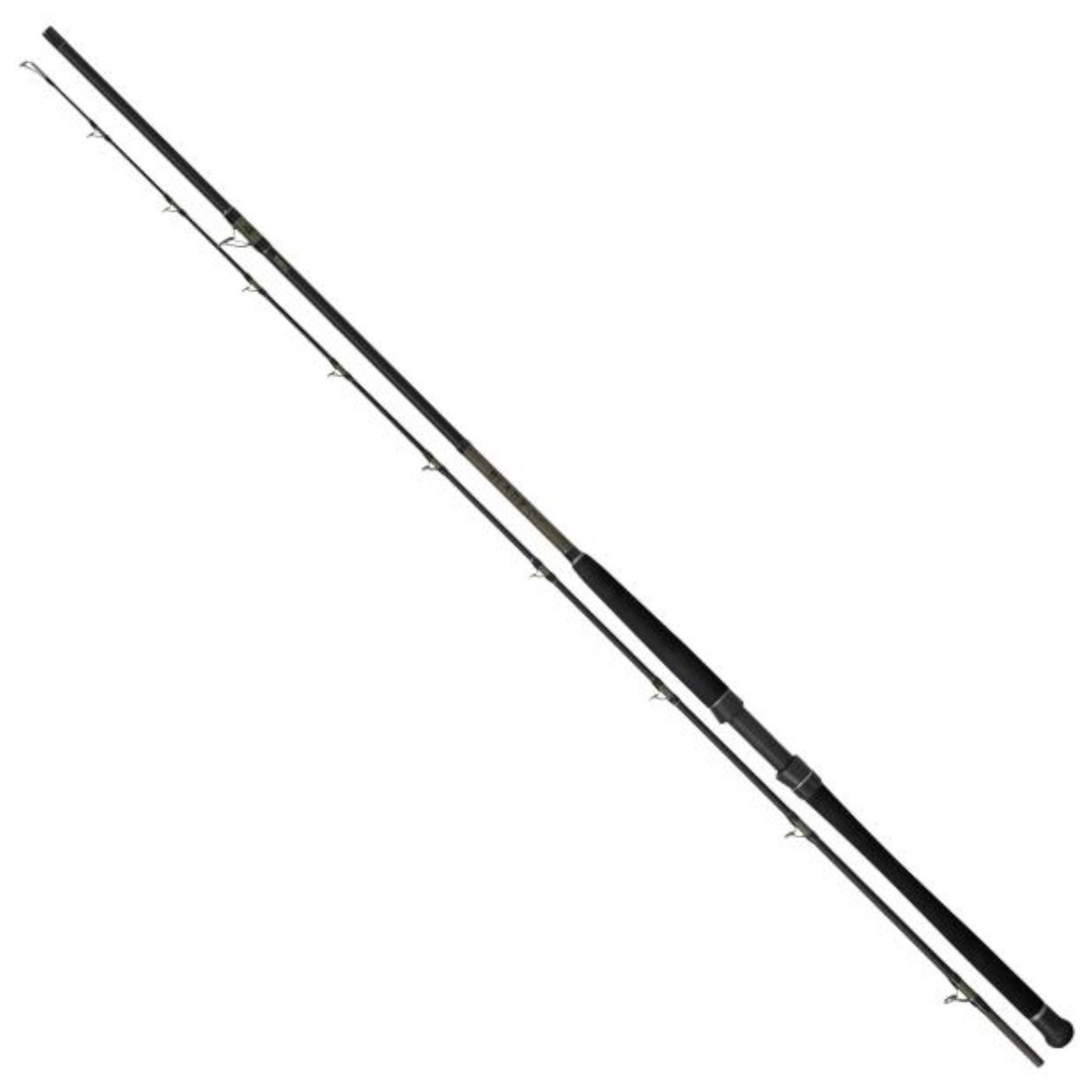 Spinnrute Blade 300cm 40lbs - Wallerrute