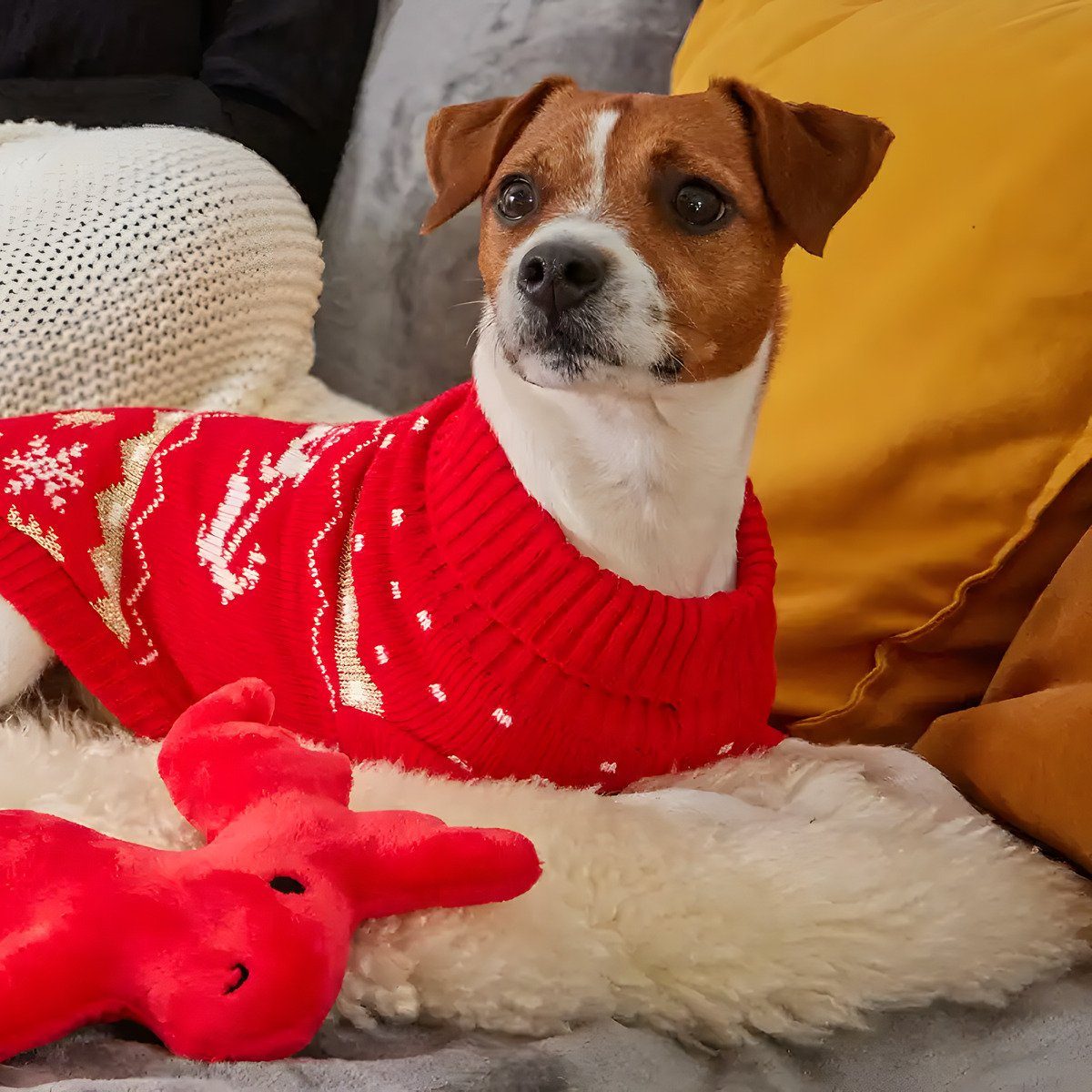 Wolters Hundepullover Strickpullover Santa rot/gold