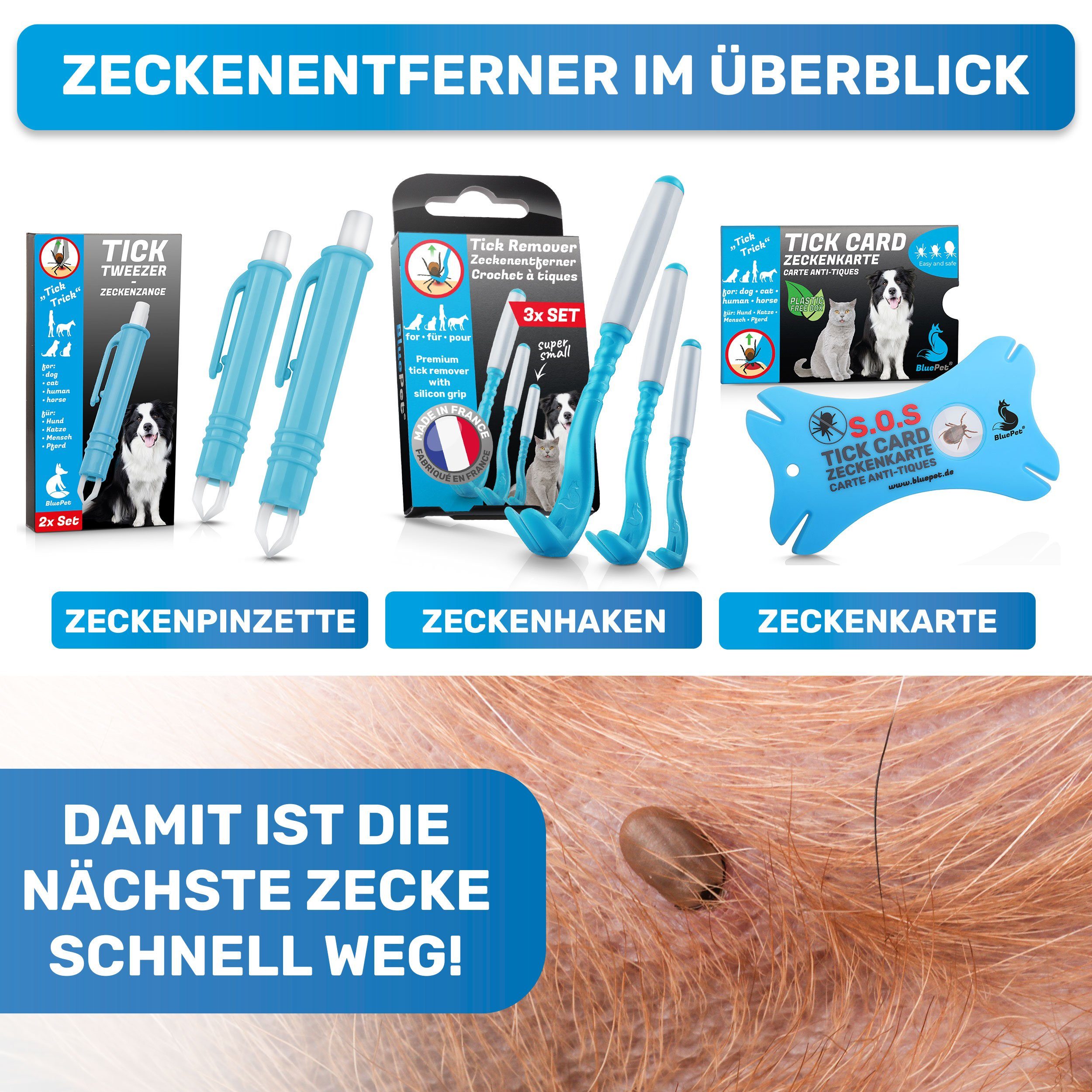 BluePet Zeckenpinzette Zeckenentfernung Lupe Scheckkartenformat, Zeckenkarte für Menschen und im mit Tiere