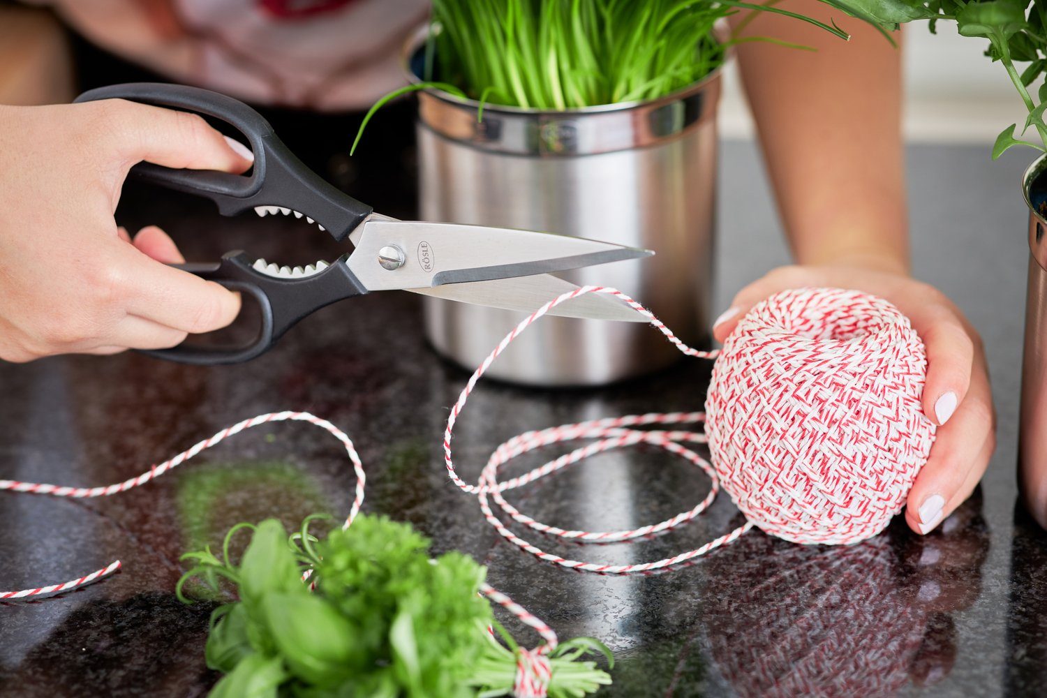 RÖSLE Haushaltsschere, Küchenschere mit Mikrozahnung für exaktes Schneiden, Edelstahl 18/10