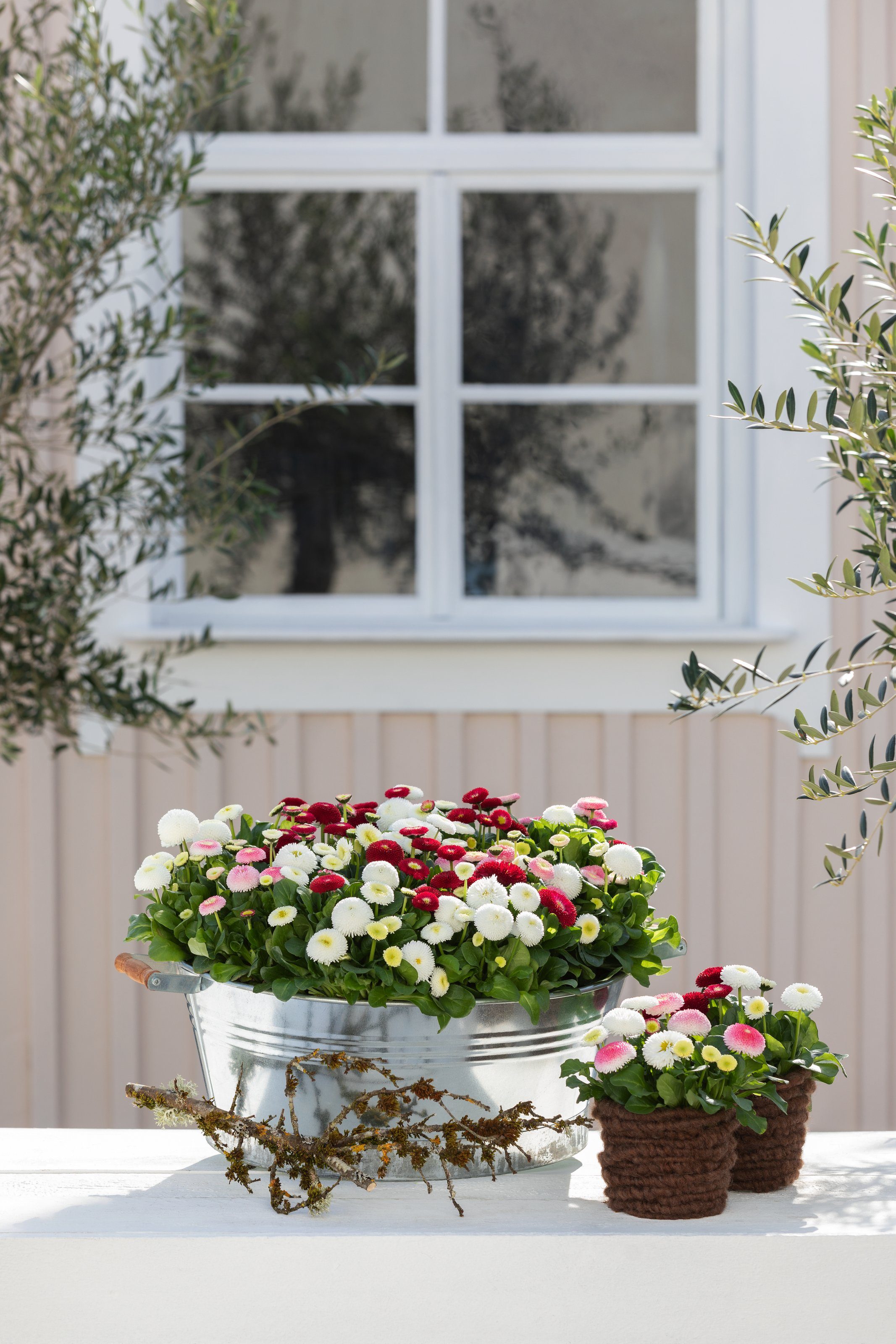 Dehner Blumentopf Pflanztöpfchen, Ø 37 cm, Höhe 15 cm, verzinkt