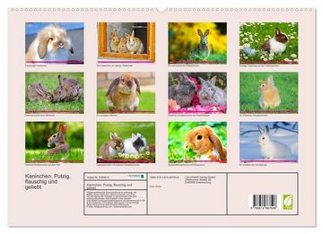 CALVENDO Wandkalender Kaninchen. Putzig, flauschig und geliebt (Premium, hochwertiger DIN A2 Wandkalender 2023, Kunstdruck in Hochglanz)