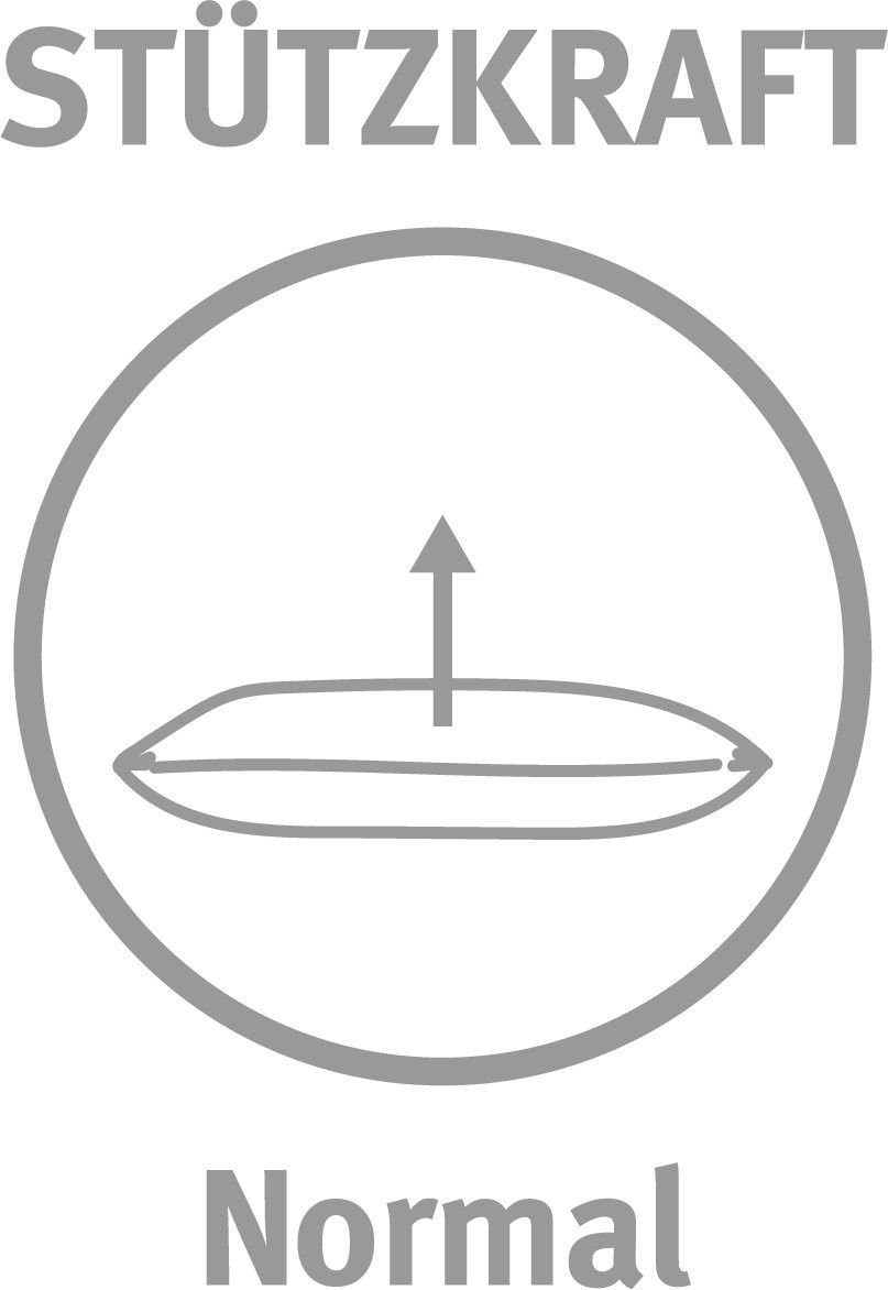 Paradies Kopfstützkissen Paradies Kopfkissen SOFTY TIP günstig online kaufen