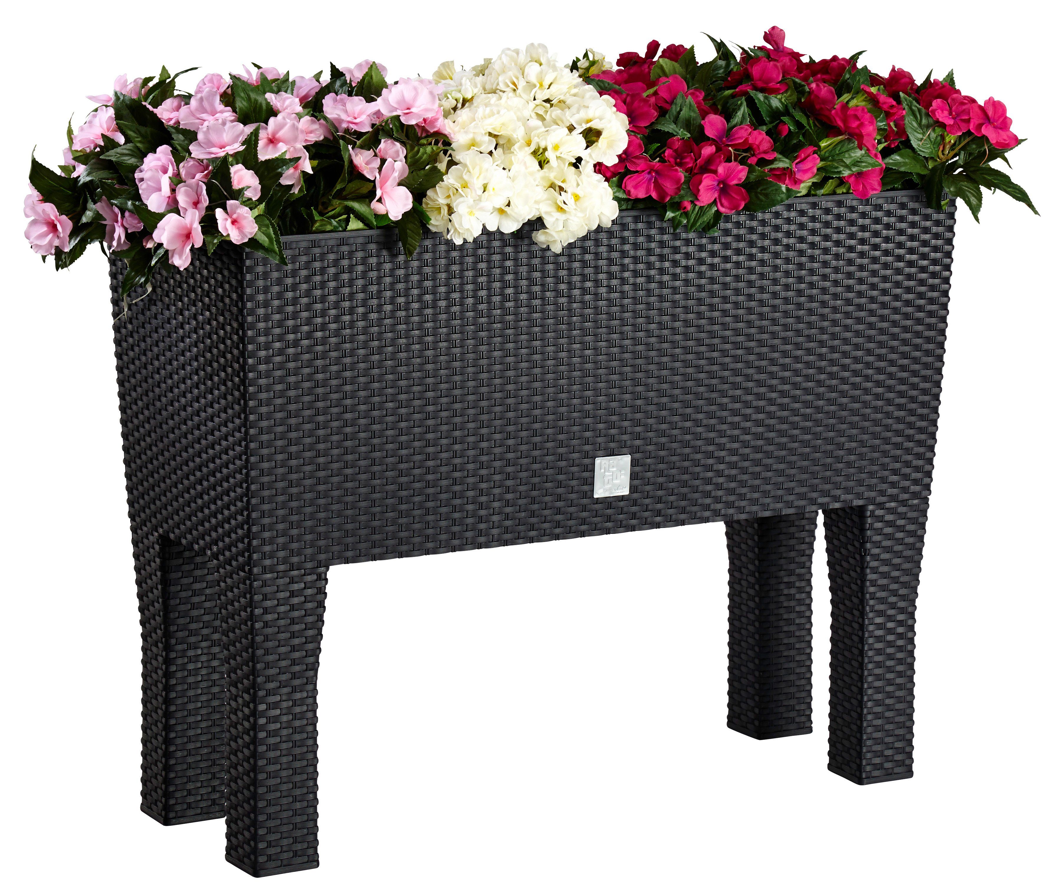 Prosperplast planter Rato Case High, WxDxH: 60x25x46 cm