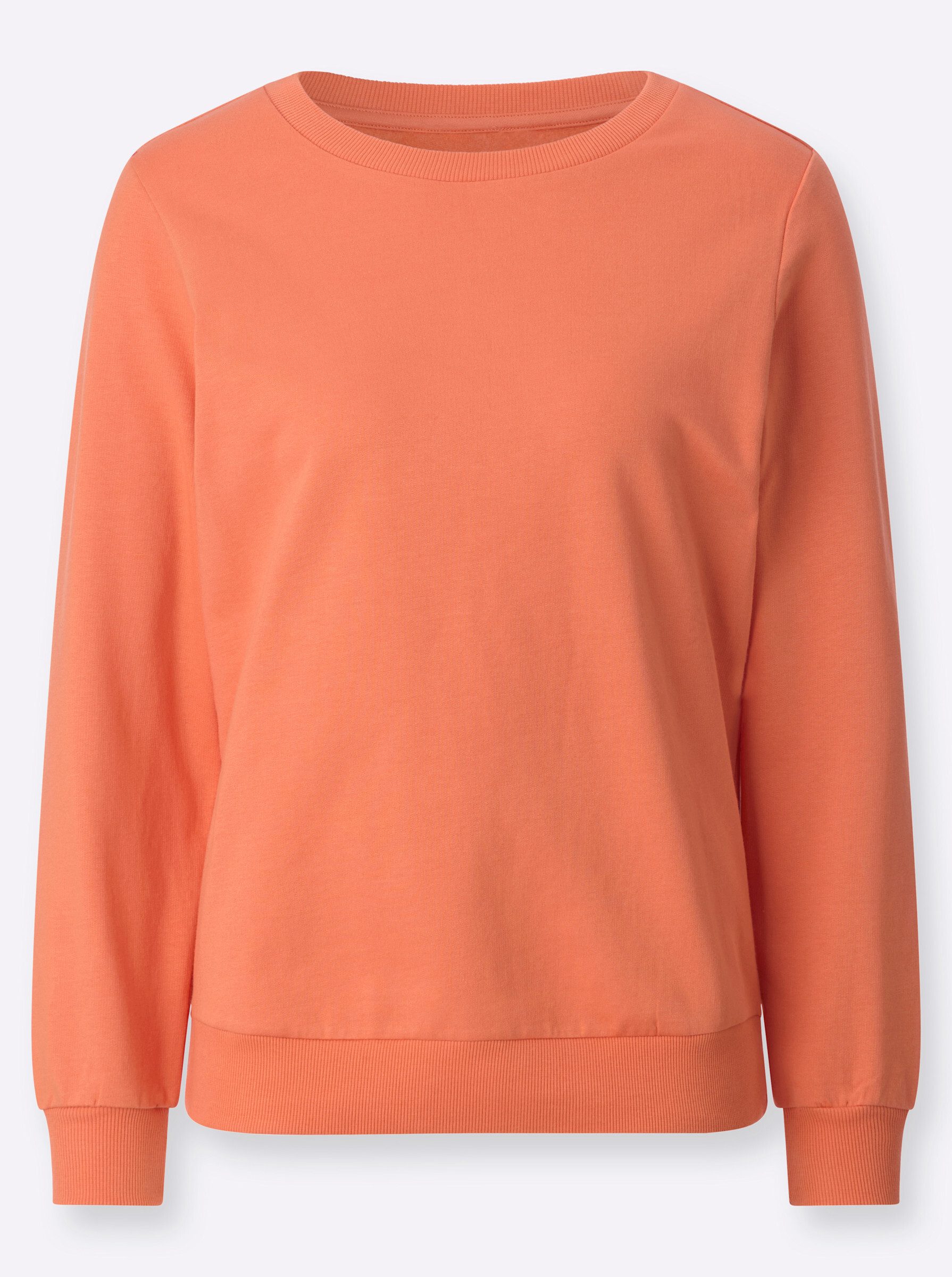 Witt Sweater Sweatshirt Langarm