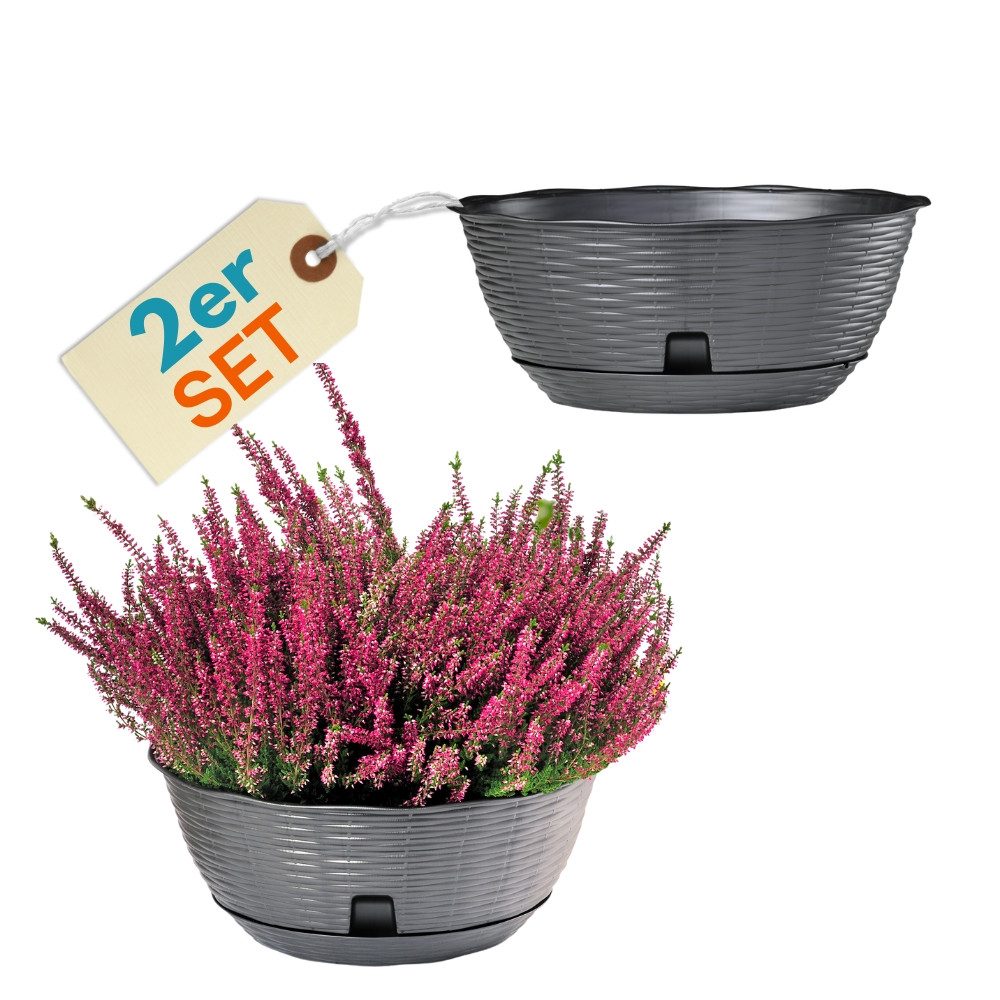 GarPet Pflanzschale 2er Set Pflanzschale Blumenschale Bonsai Grabschale Anthrazit 40cm